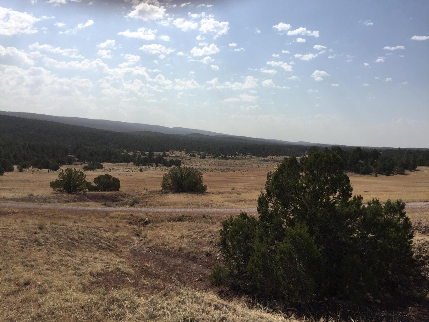 Lot 3 Sunflower Drive, Ramah, New Mexico image 10