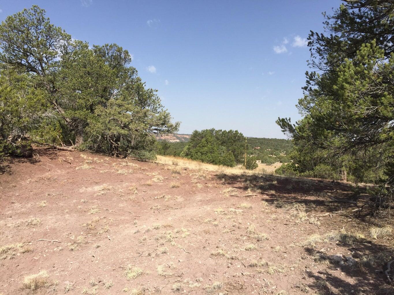 Lot 3 Sunflower Drive, Ramah, New Mexico image 22