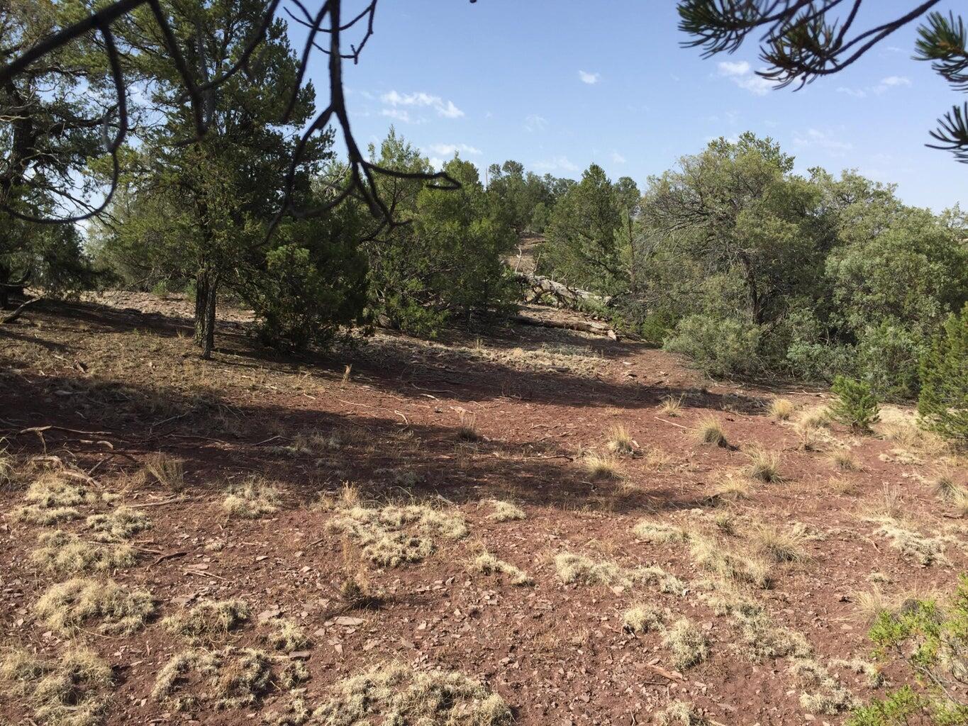 Lot 3 Sunflower Drive, Ramah, New Mexico image 33