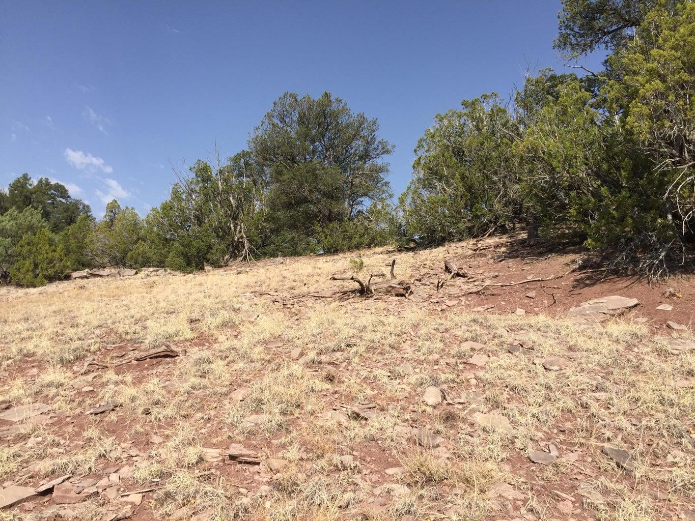 Lot 3 Sunflower Drive, Ramah, New Mexico image 47