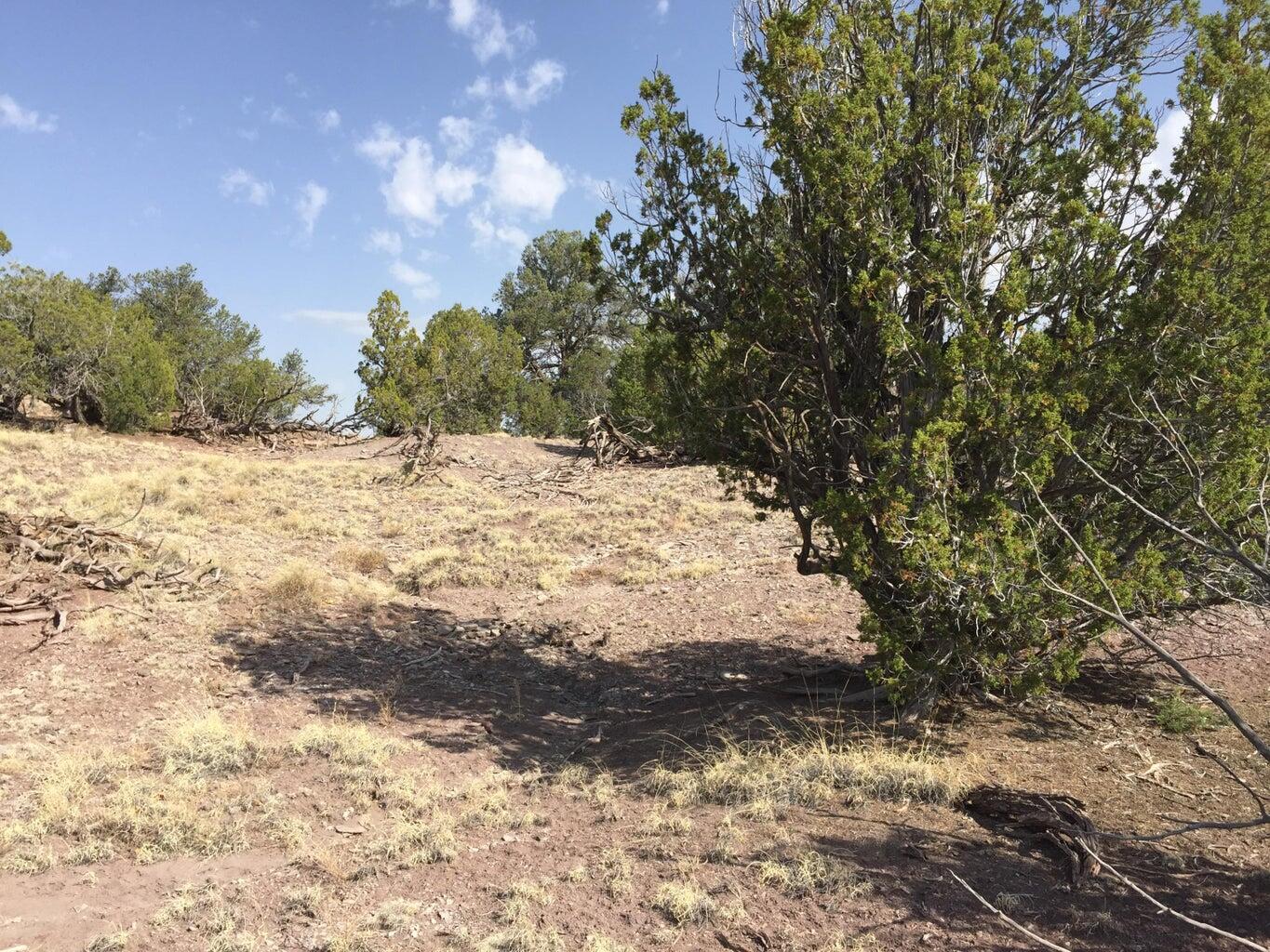 Lot 3 Sunflower Drive, Ramah, New Mexico image 16