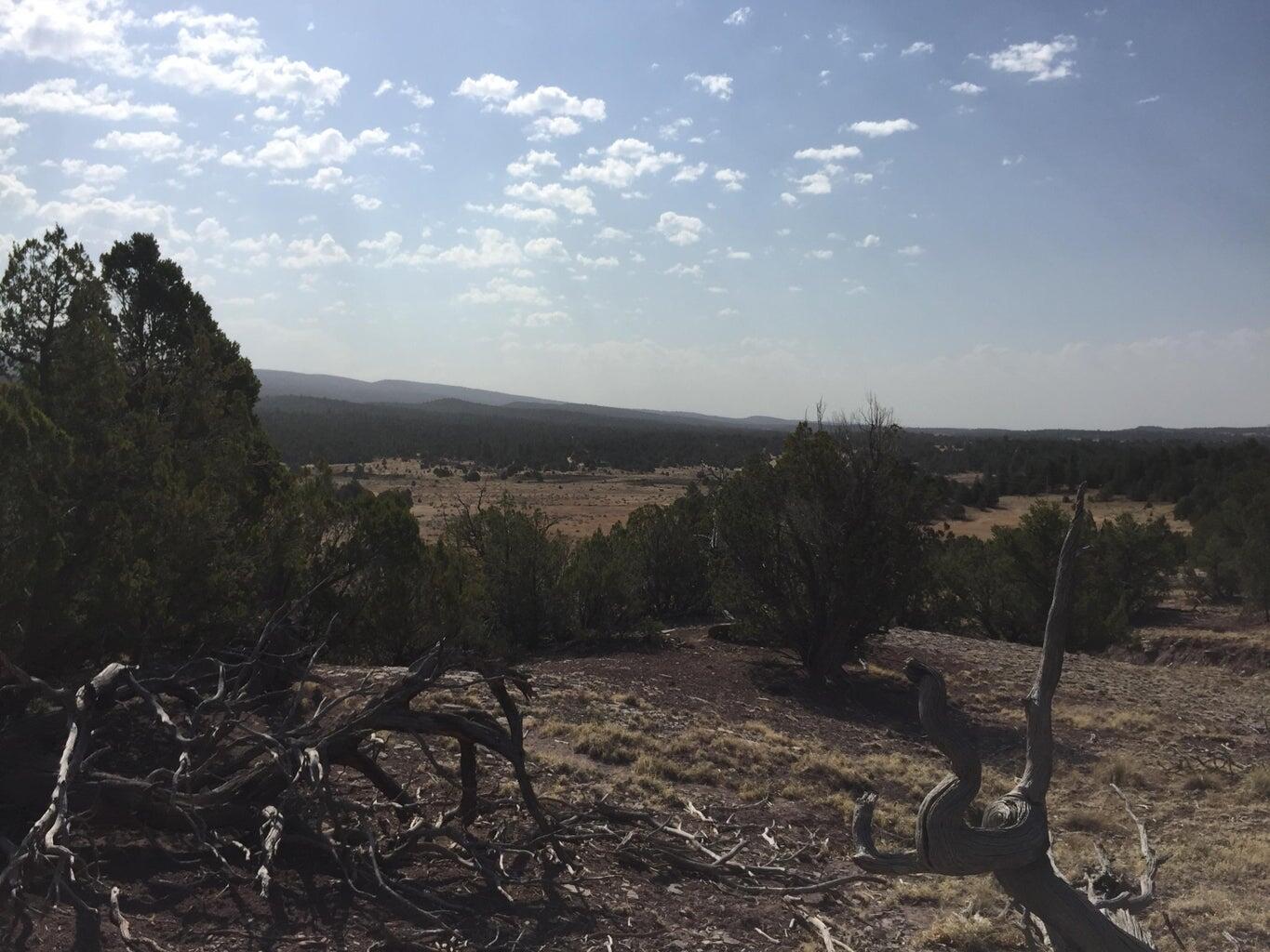 Lot 3 Sunflower Drive, Ramah, New Mexico image 19