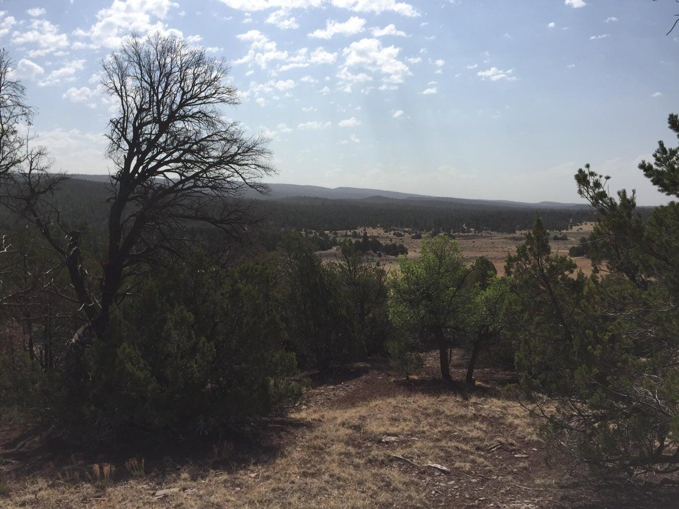 Lot 3 Sunflower Drive, Ramah, New Mexico image 44