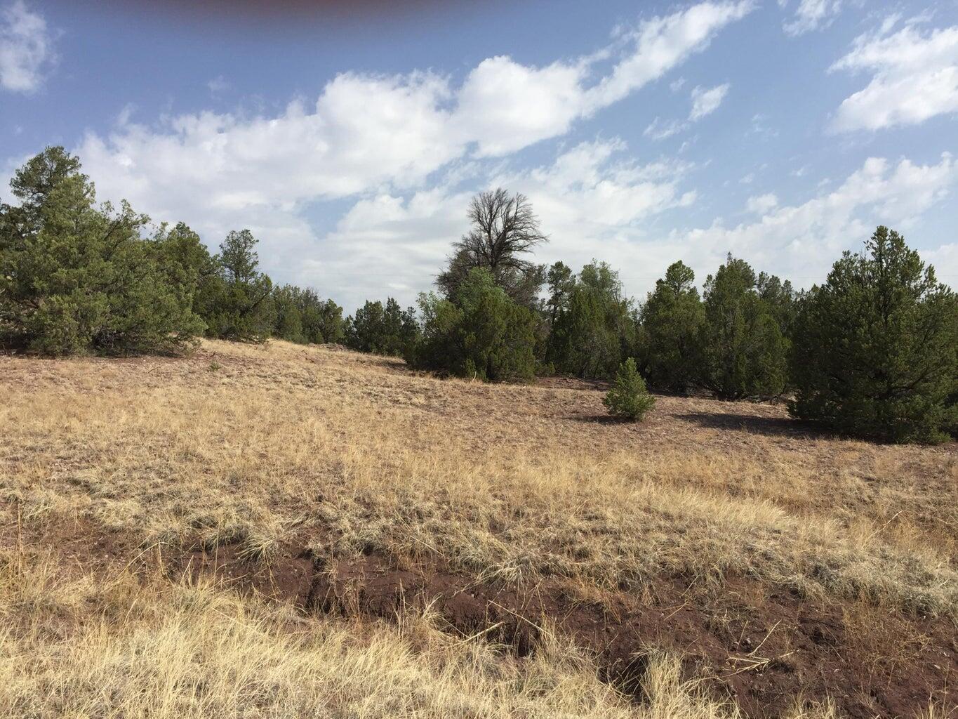 Lot 3 Sunflower Drive, Ramah, New Mexico image 8