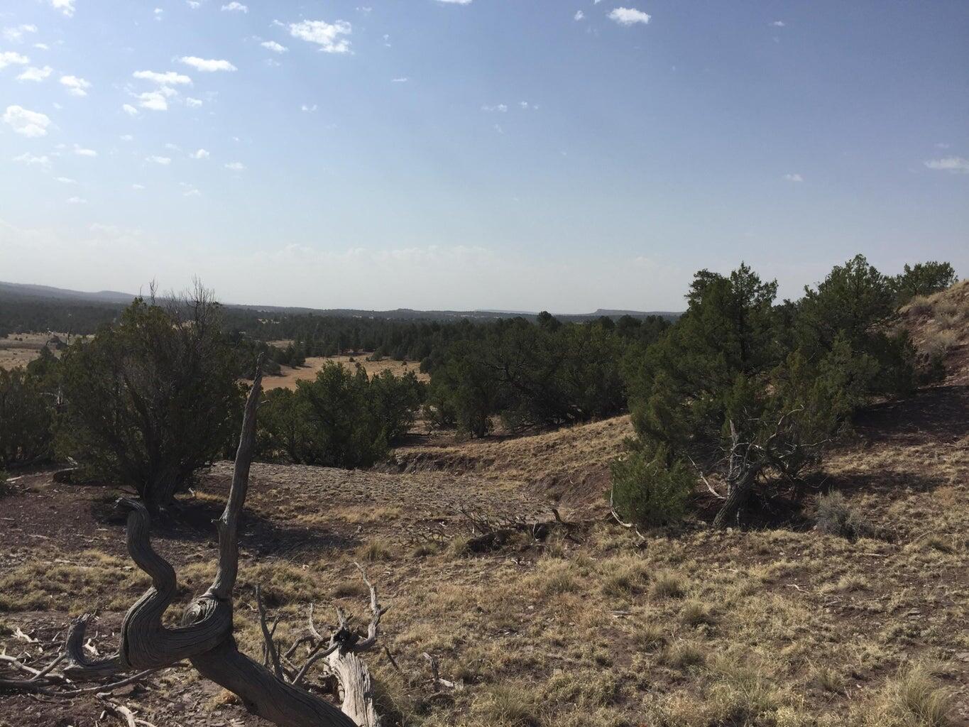 Lot 3 Sunflower Drive, Ramah, New Mexico image 20