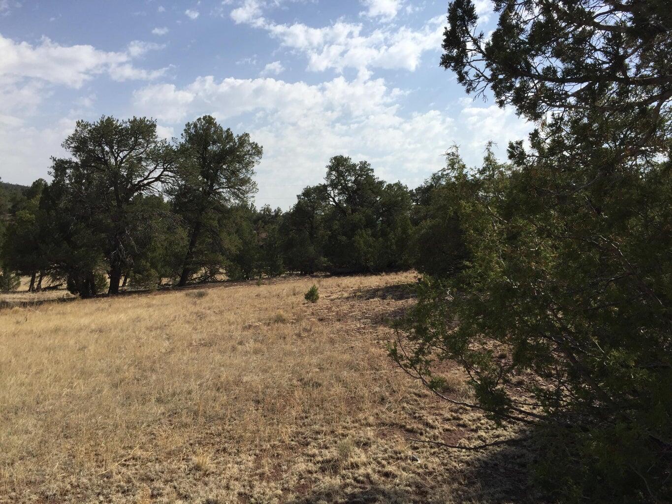 Lot 3 Sunflower Drive, Ramah, New Mexico image 25