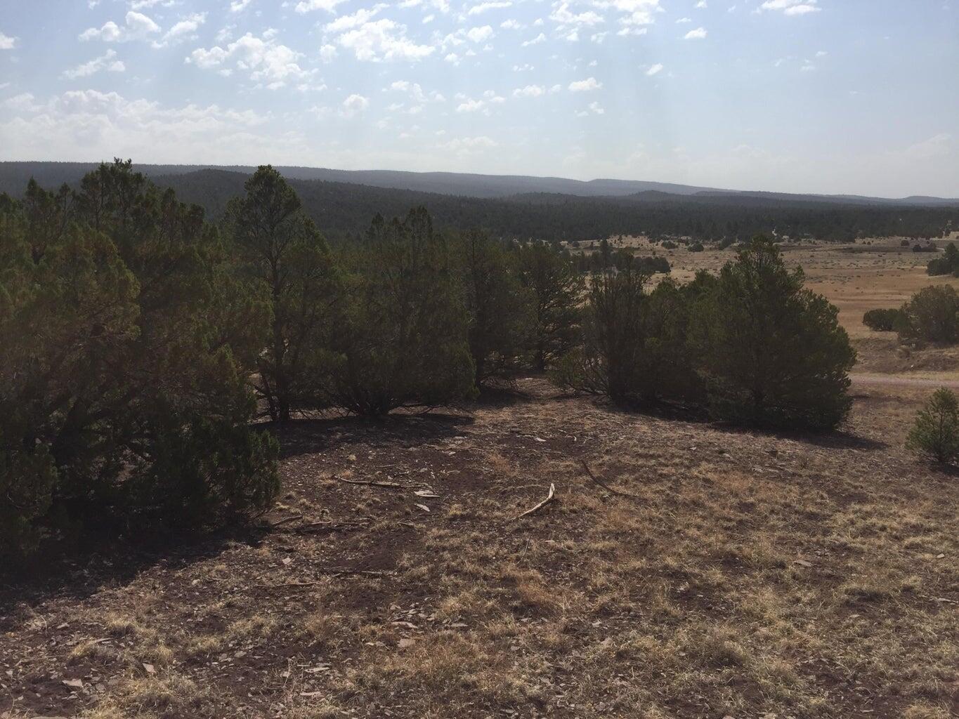 Lot 3 Sunflower Drive, Ramah, New Mexico image 46