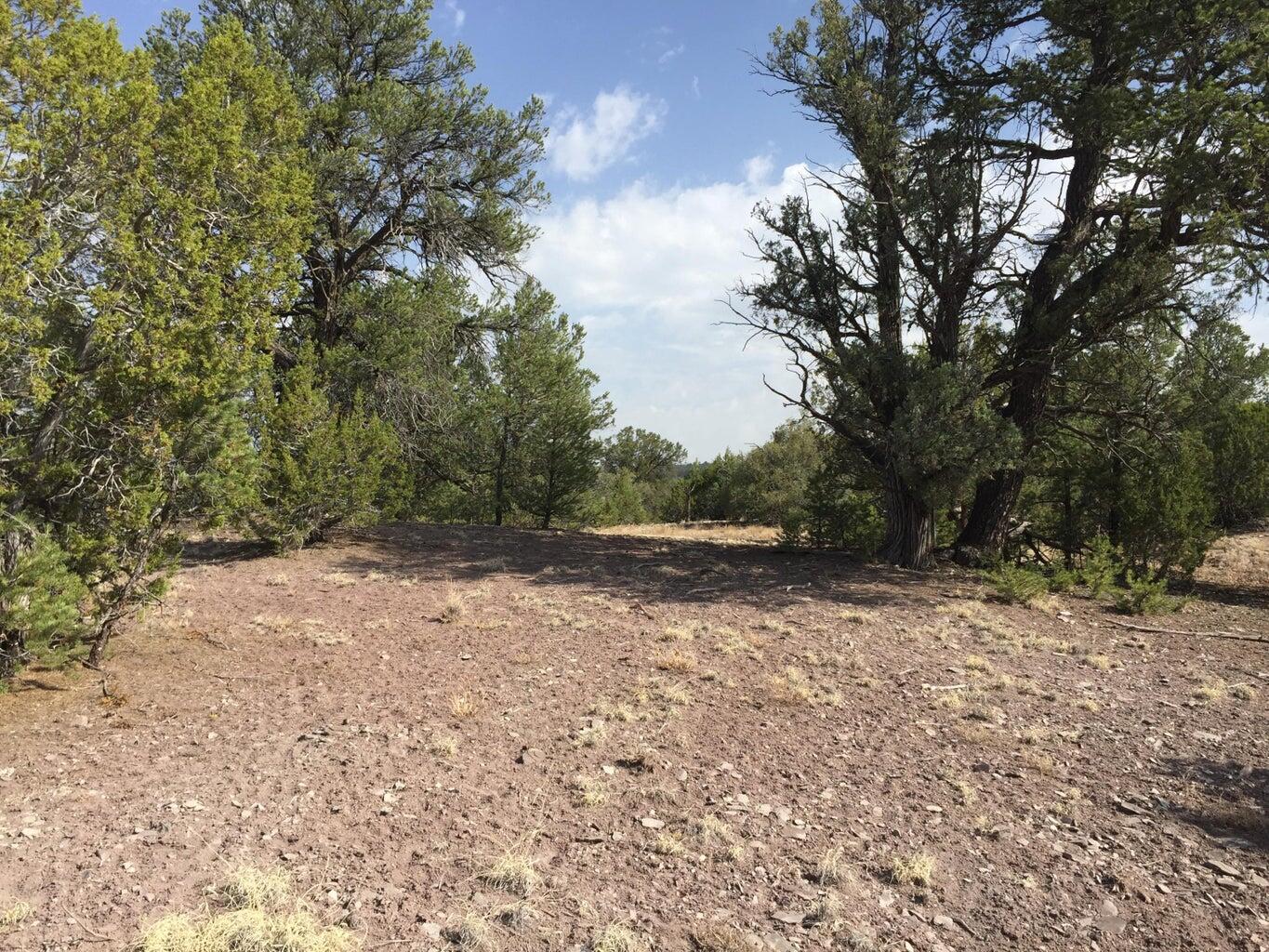 Lot 3 Sunflower Drive, Ramah, New Mexico image 21