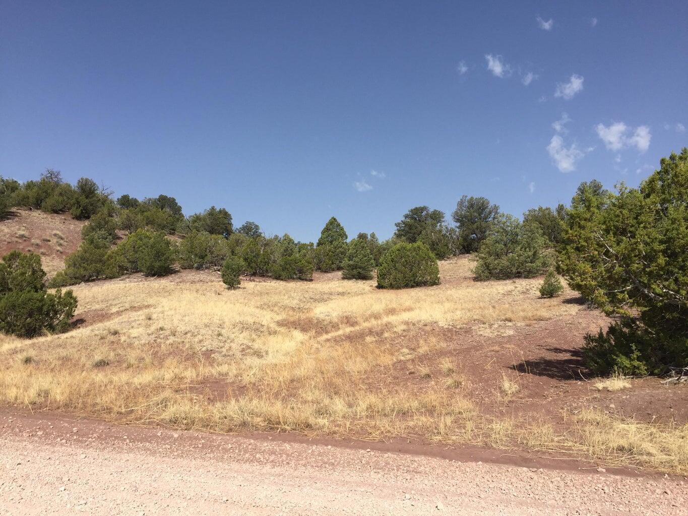 Lot 3 Sunflower Drive, Ramah, New Mexico image 23