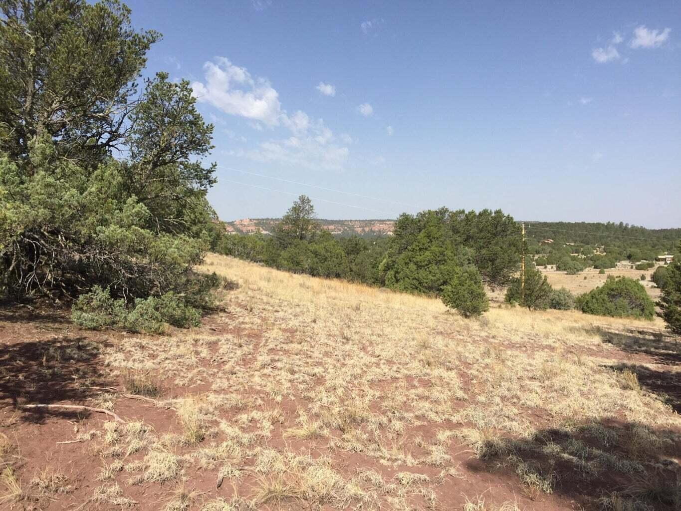 Lot 3 Sunflower Drive, Ramah, New Mexico image 5