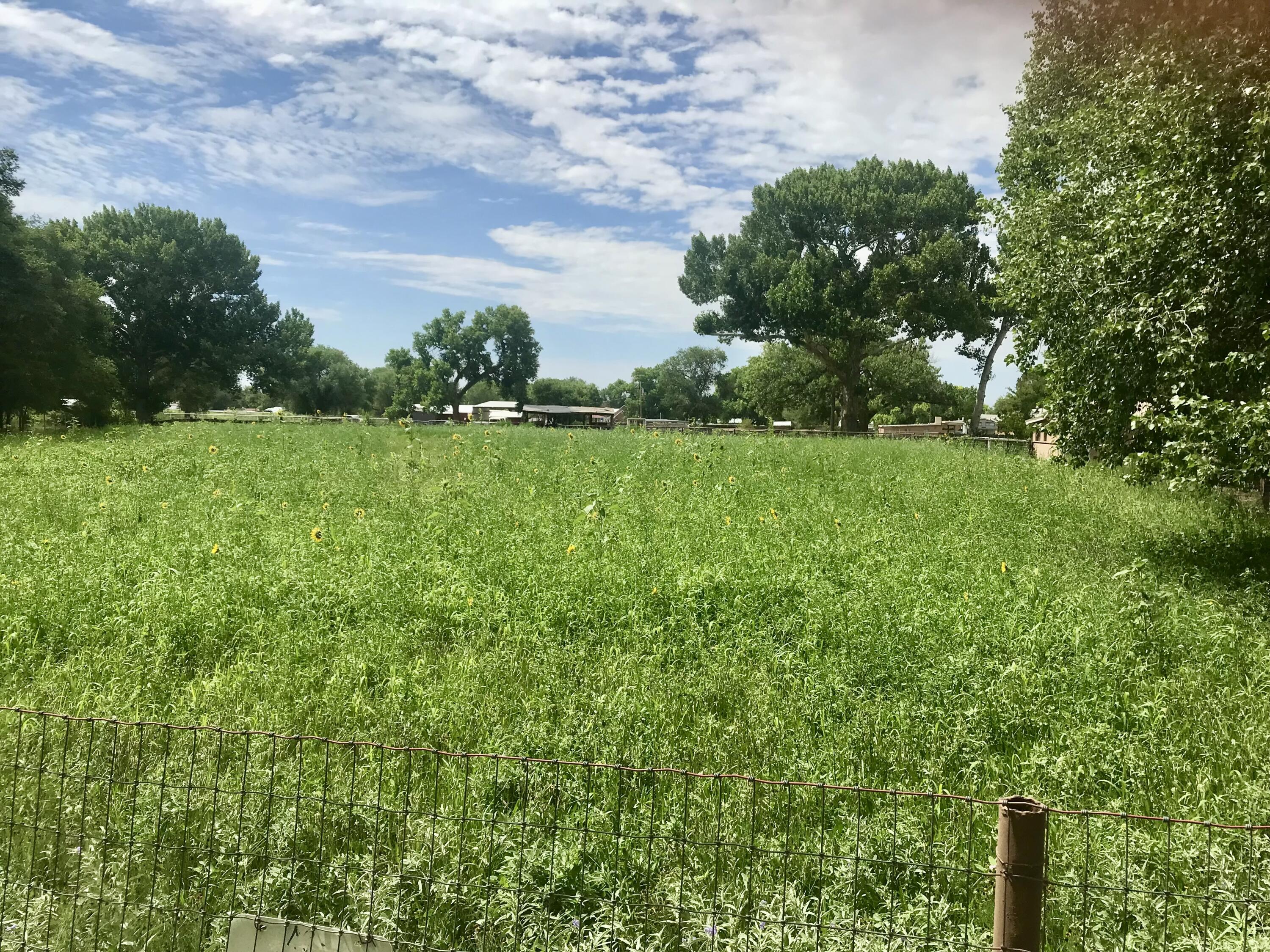 5 Hobbs Road, Peralta, New Mexico image 19