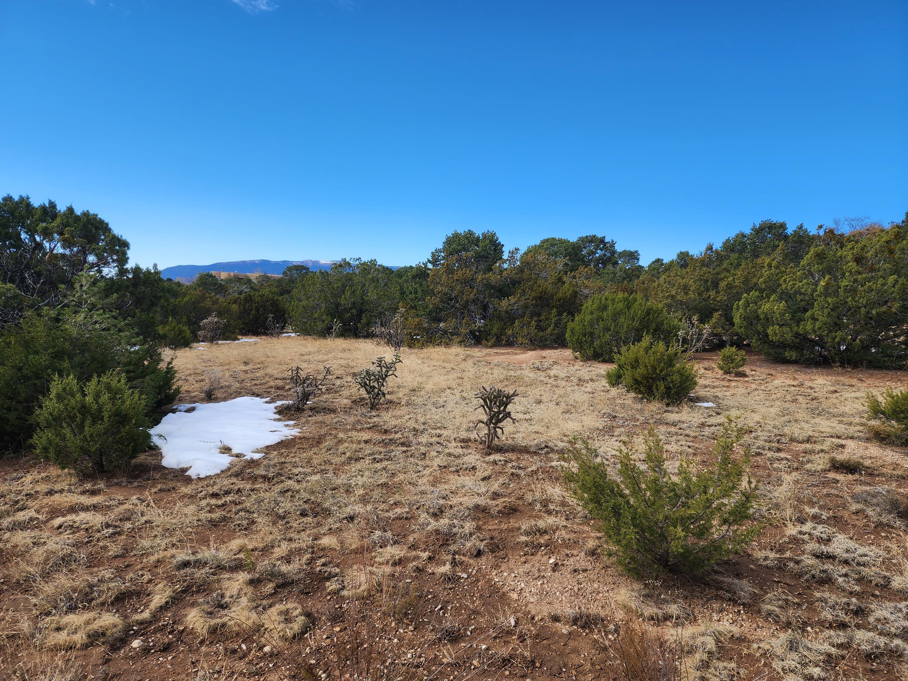 35 Pinon Ridge Road, Tijeras, New Mexico image 2