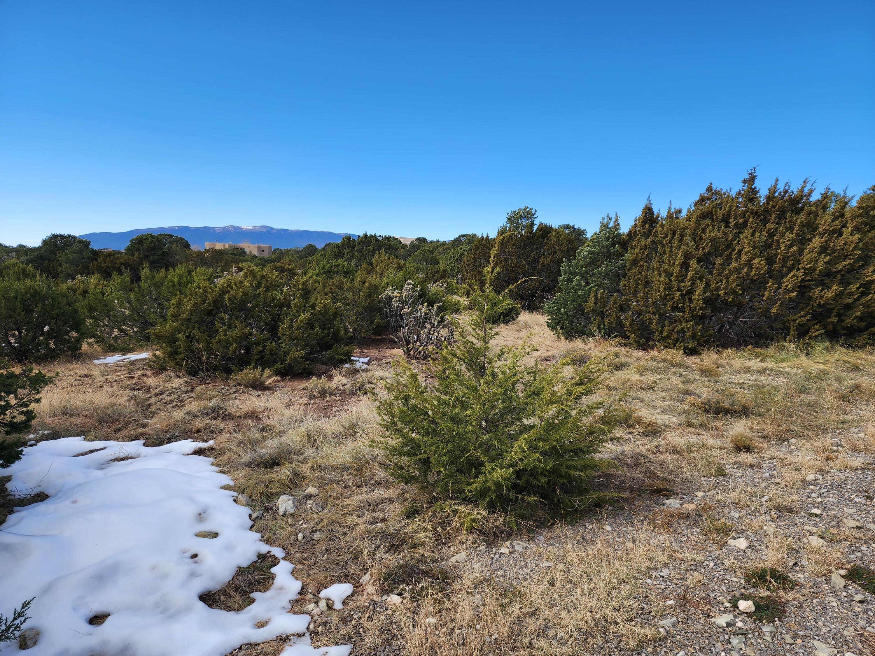 35 Pinon Ridge Road, Tijeras, New Mexico image 9