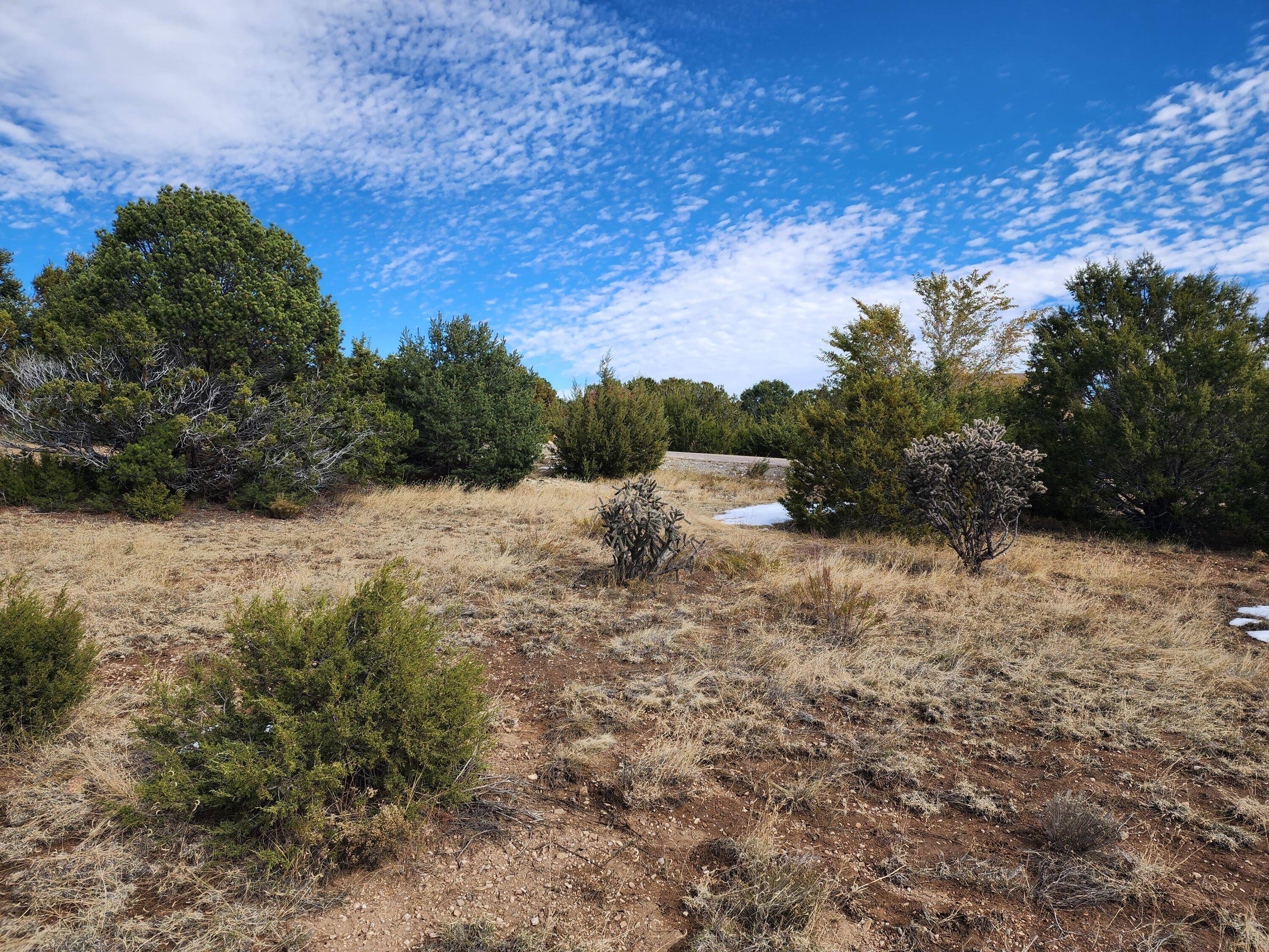 35 Pinon Ridge Road, Tijeras, New Mexico image 3