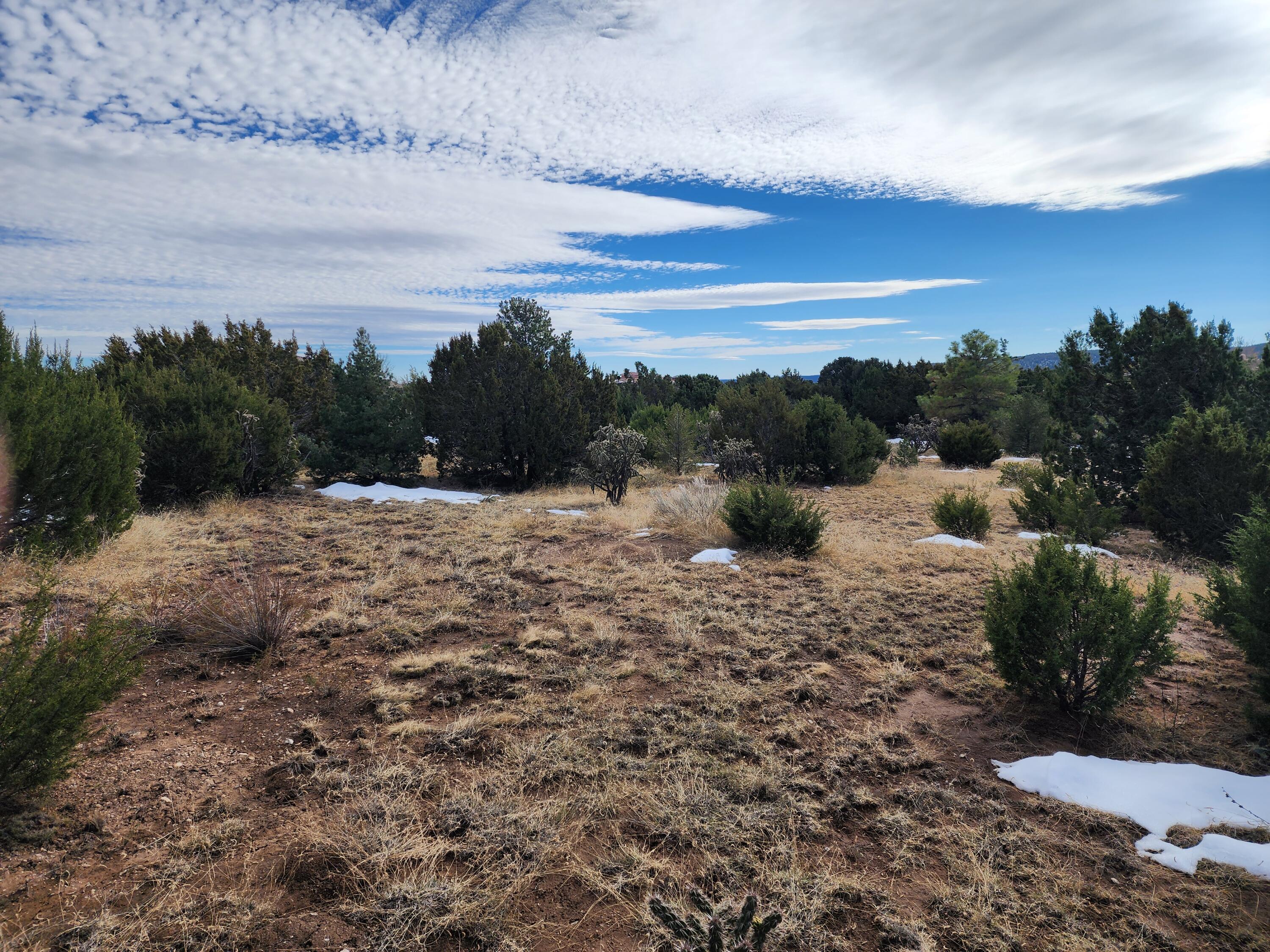 35 Pinon Ridge Road, Tijeras, New Mexico image 4