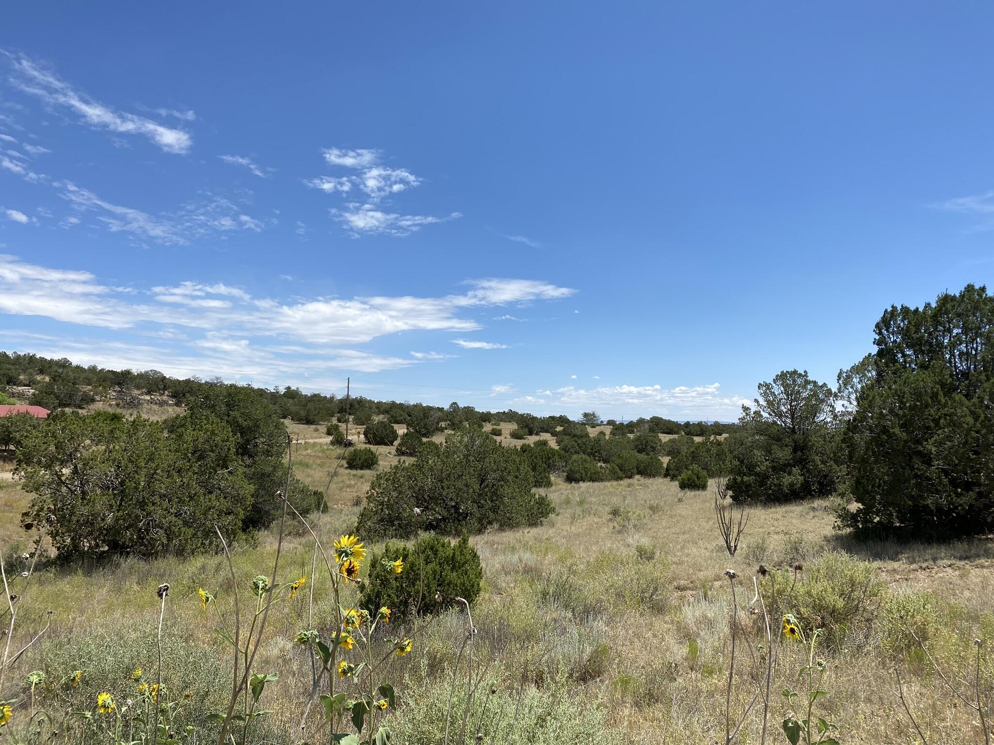 V-hill Road, Edgewood, New Mexico image 17