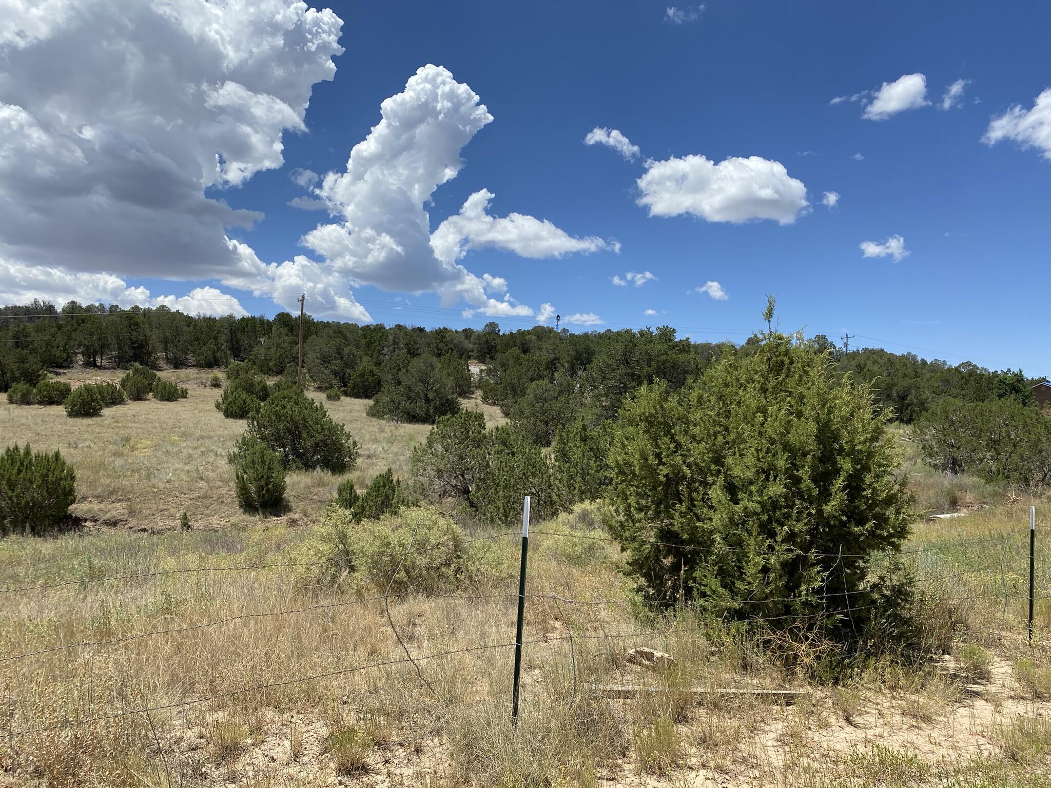 V-hill Road, Edgewood, New Mexico image 16