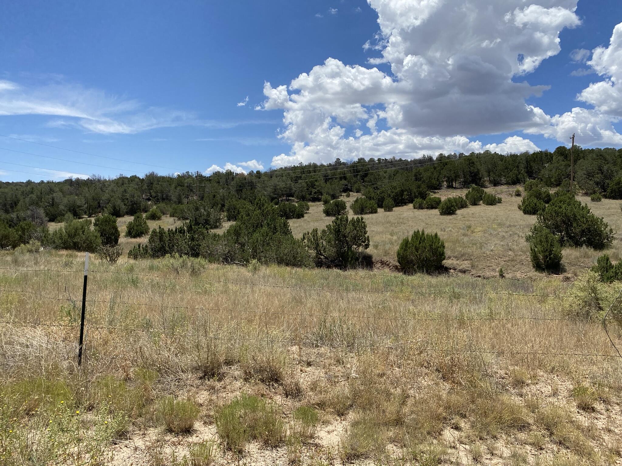 V-hill Road, Edgewood, New Mexico image 14