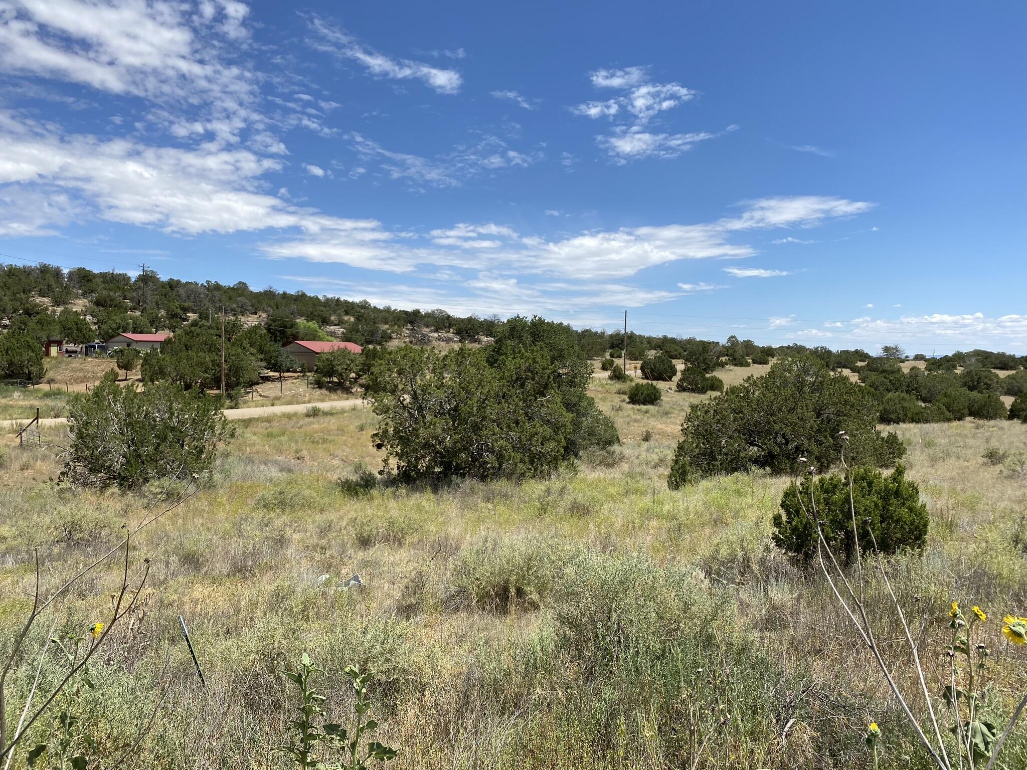 V-hill Road, Edgewood, New Mexico image 19