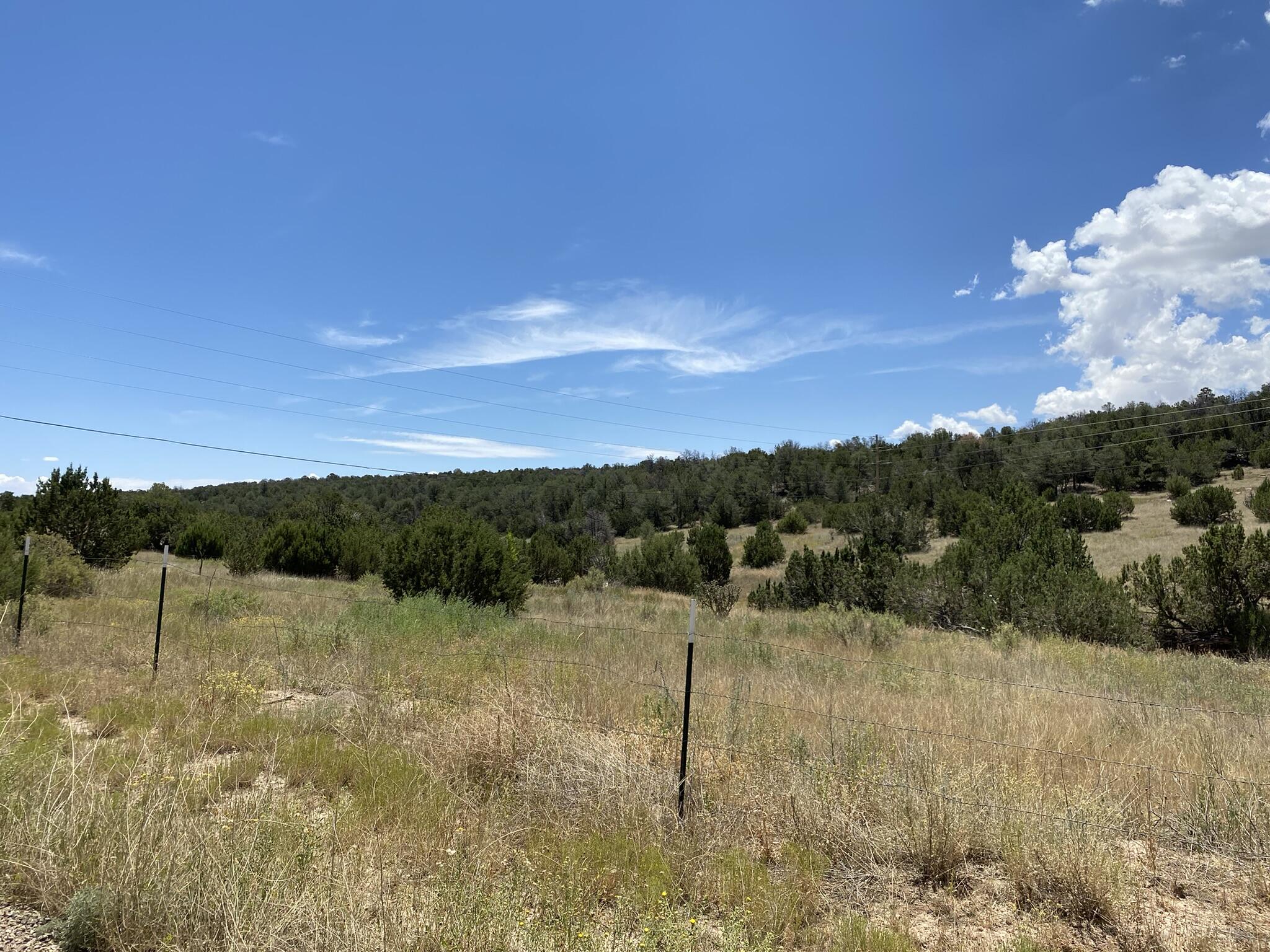 V-hill Road, Edgewood, New Mexico image 15