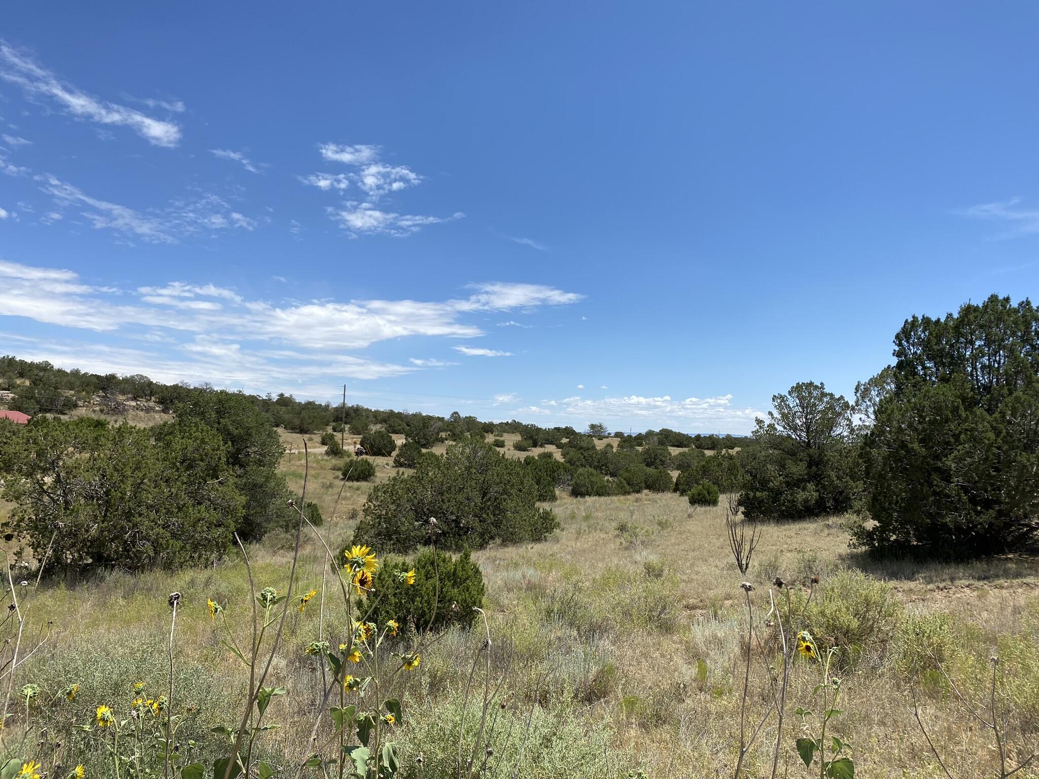 V-hill Road, Edgewood, New Mexico image 13