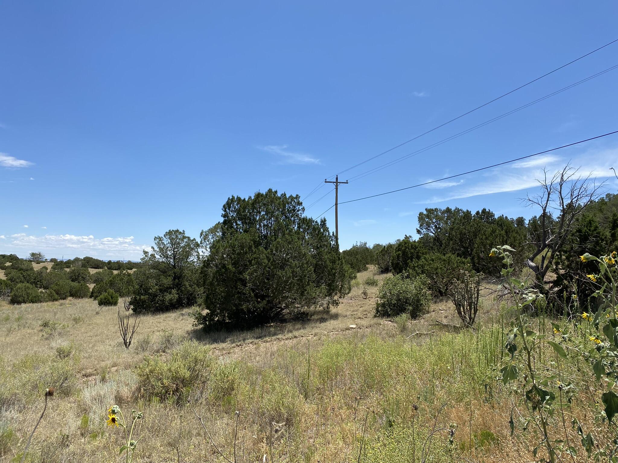 V-hill Road, Edgewood, New Mexico image 18