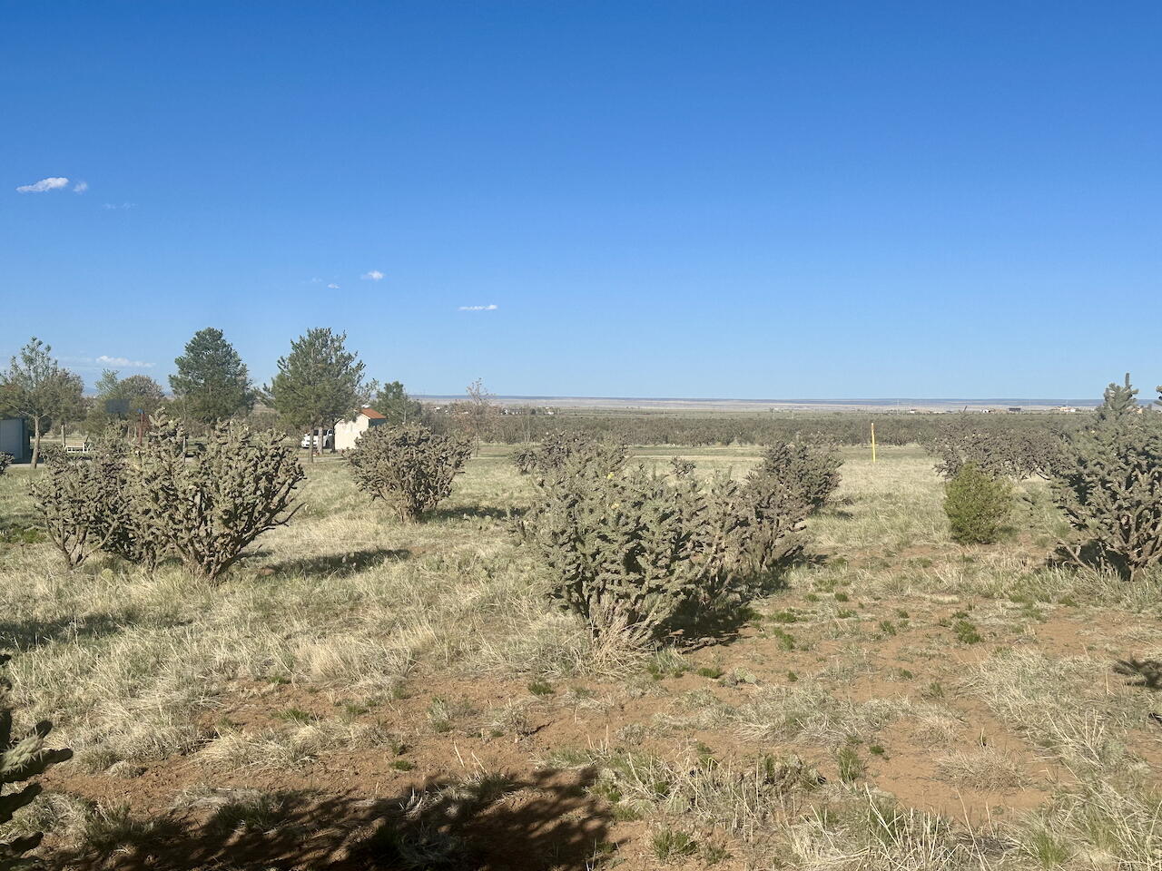 28 Calle Viernes, Edgewood, New Mexico image 5