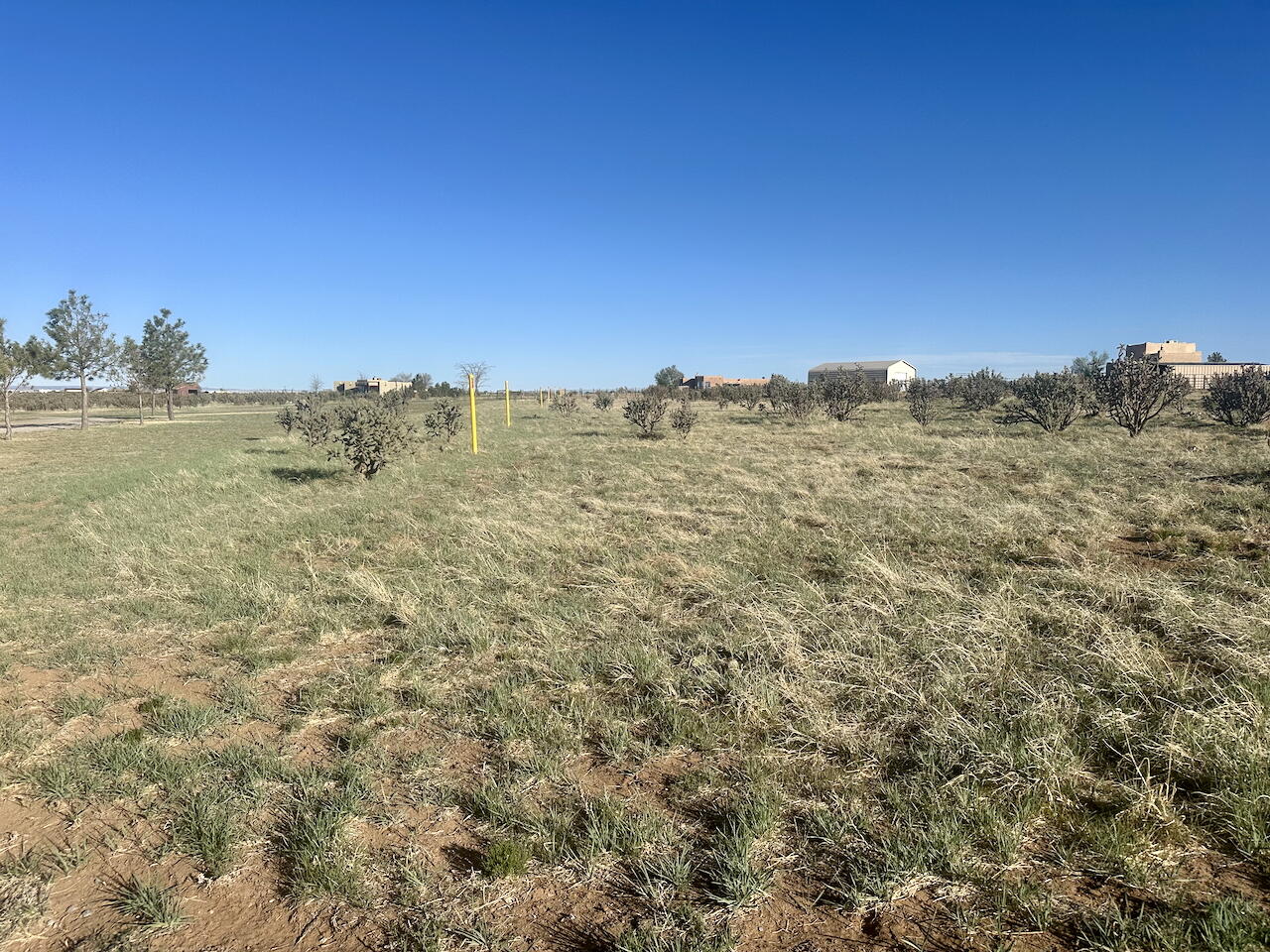28 Calle Viernes, Edgewood, New Mexico image 12