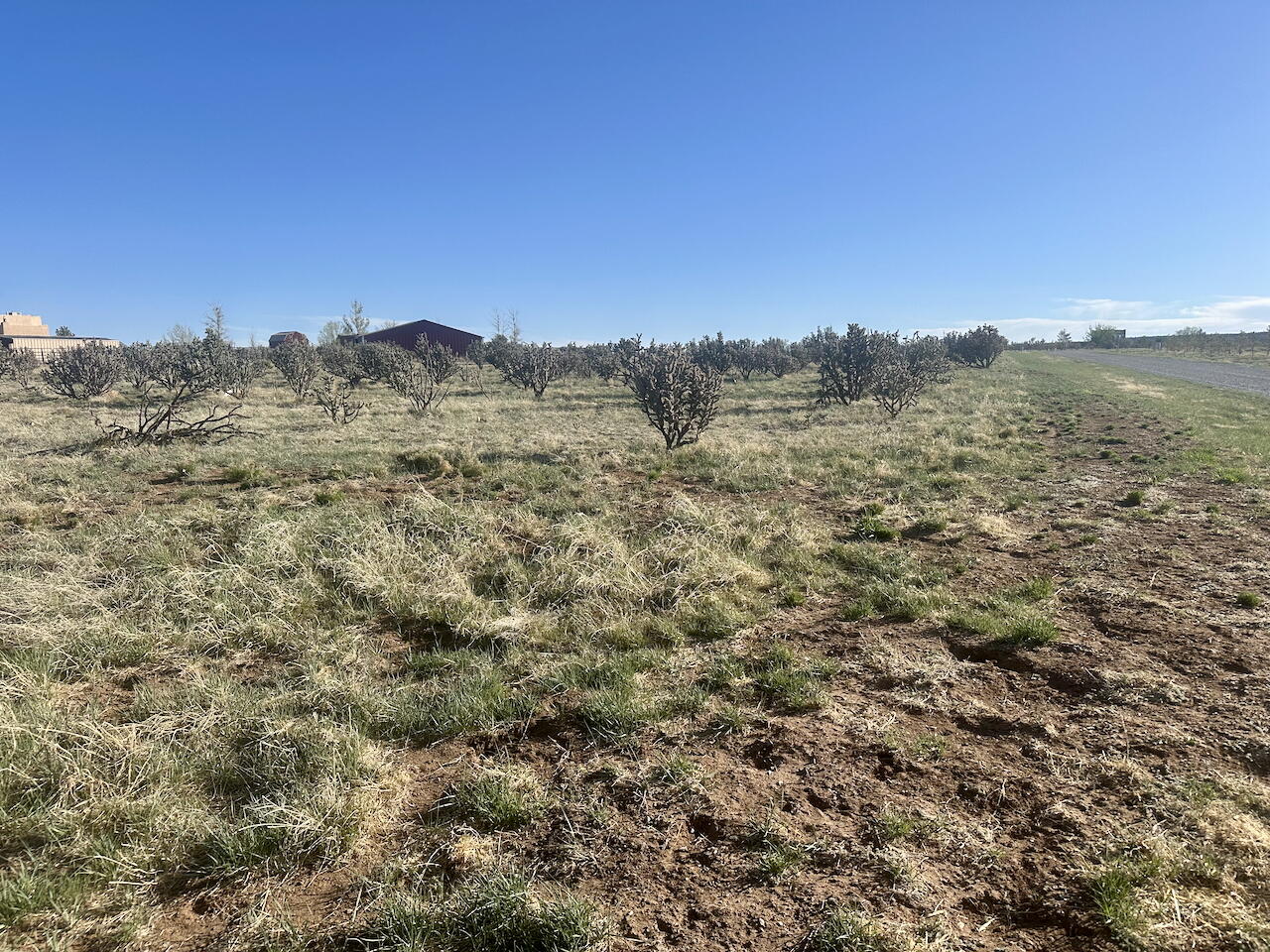 28 Calle Viernes, Edgewood, New Mexico image 14