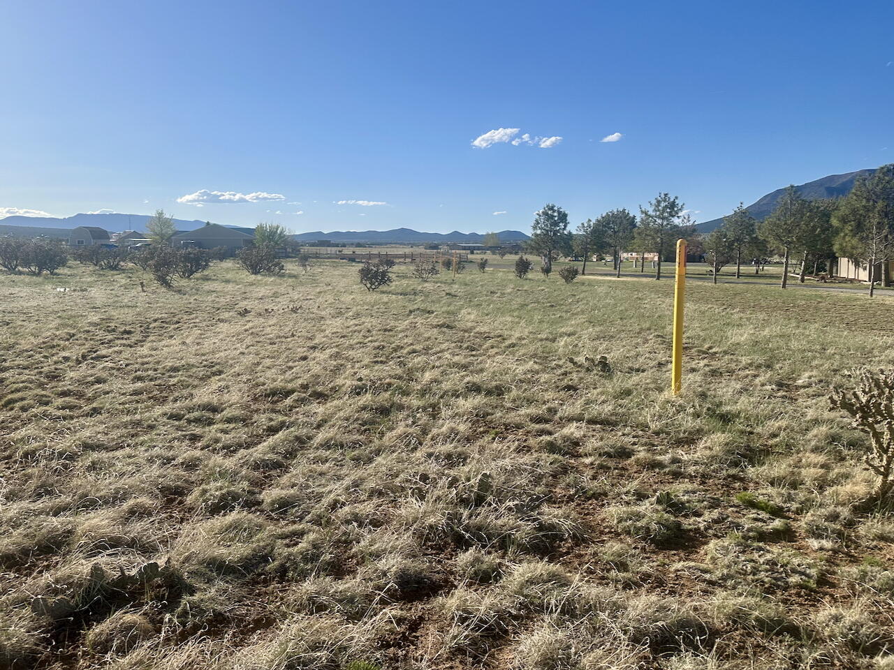 28 Calle Viernes, Edgewood, New Mexico image 7