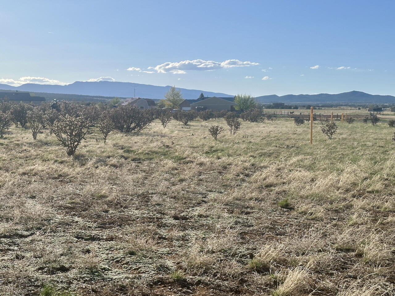 28 Calle Viernes, Edgewood, New Mexico image 11