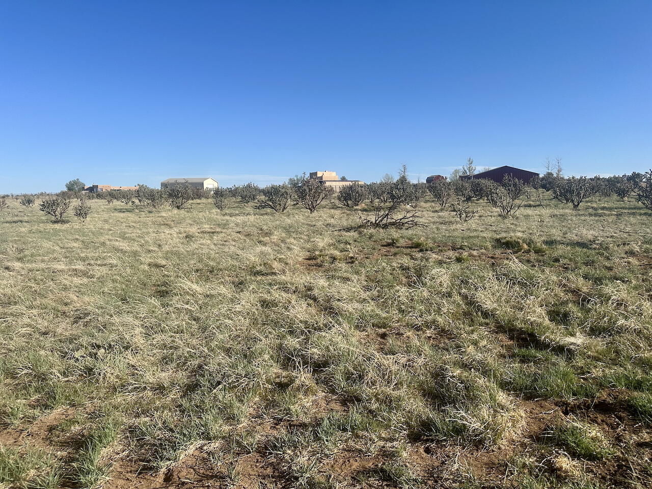 28 Calle Viernes, Edgewood, New Mexico image 13