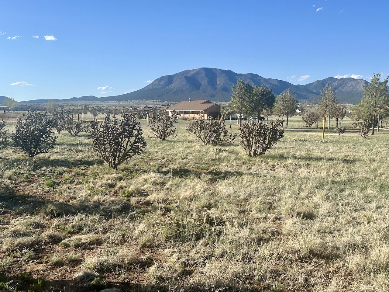 28 Calle Viernes, Edgewood, New Mexico image 1