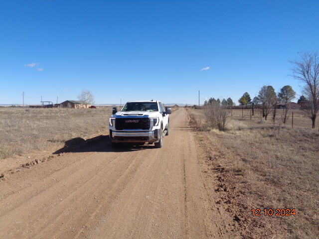 Marc, McIntosh, New Mexico image 2