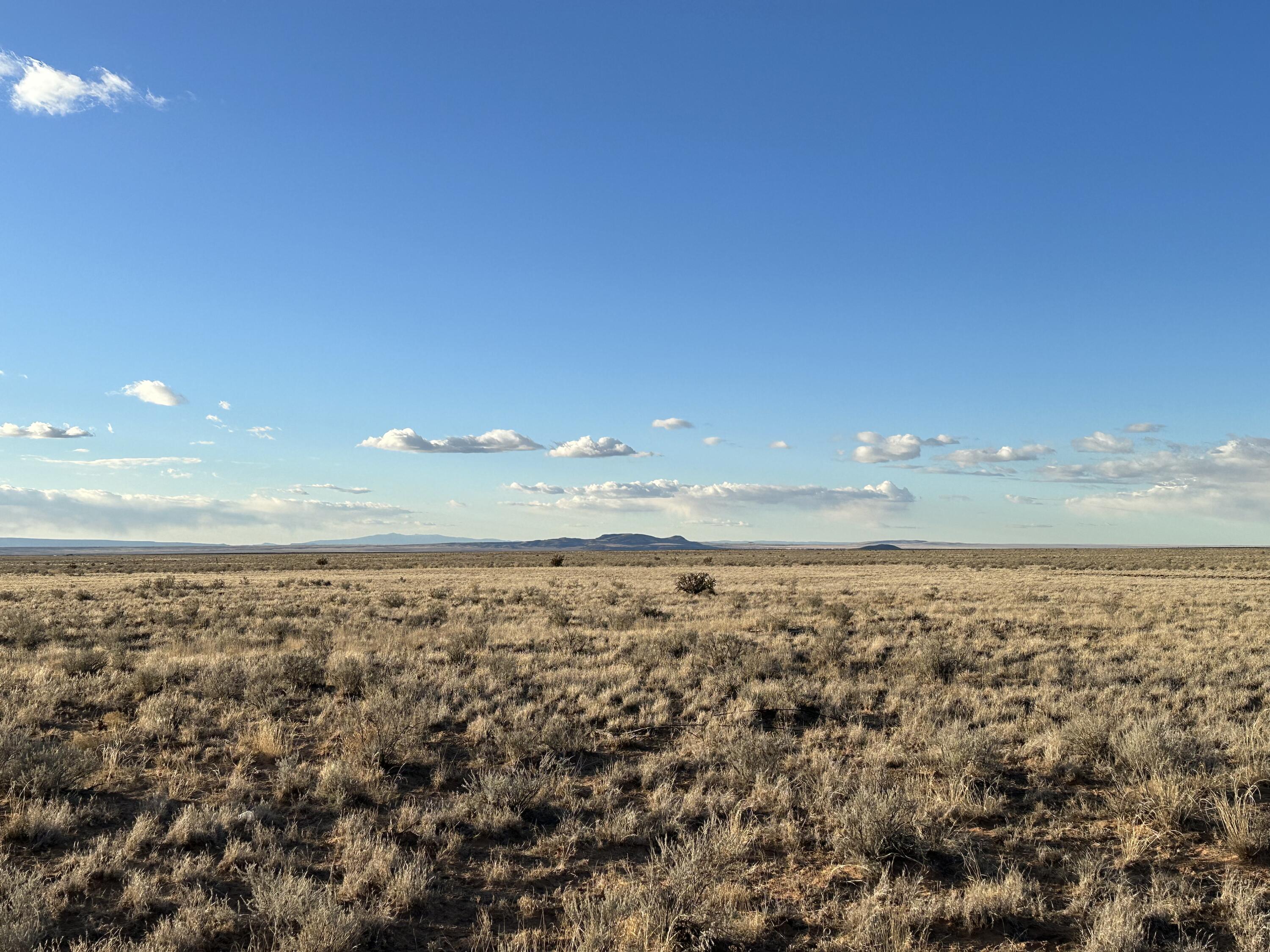 Photo 6 of 10 of Rio Grande Estates land