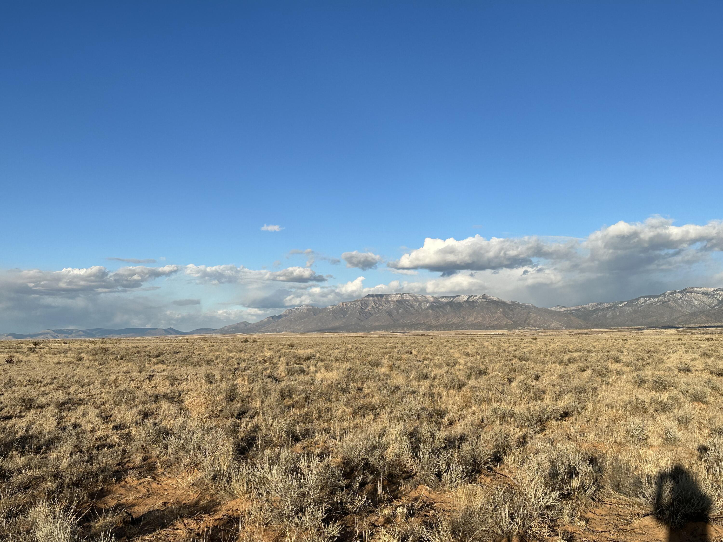 Photo 5 of 10 of Rio Grande Estates land