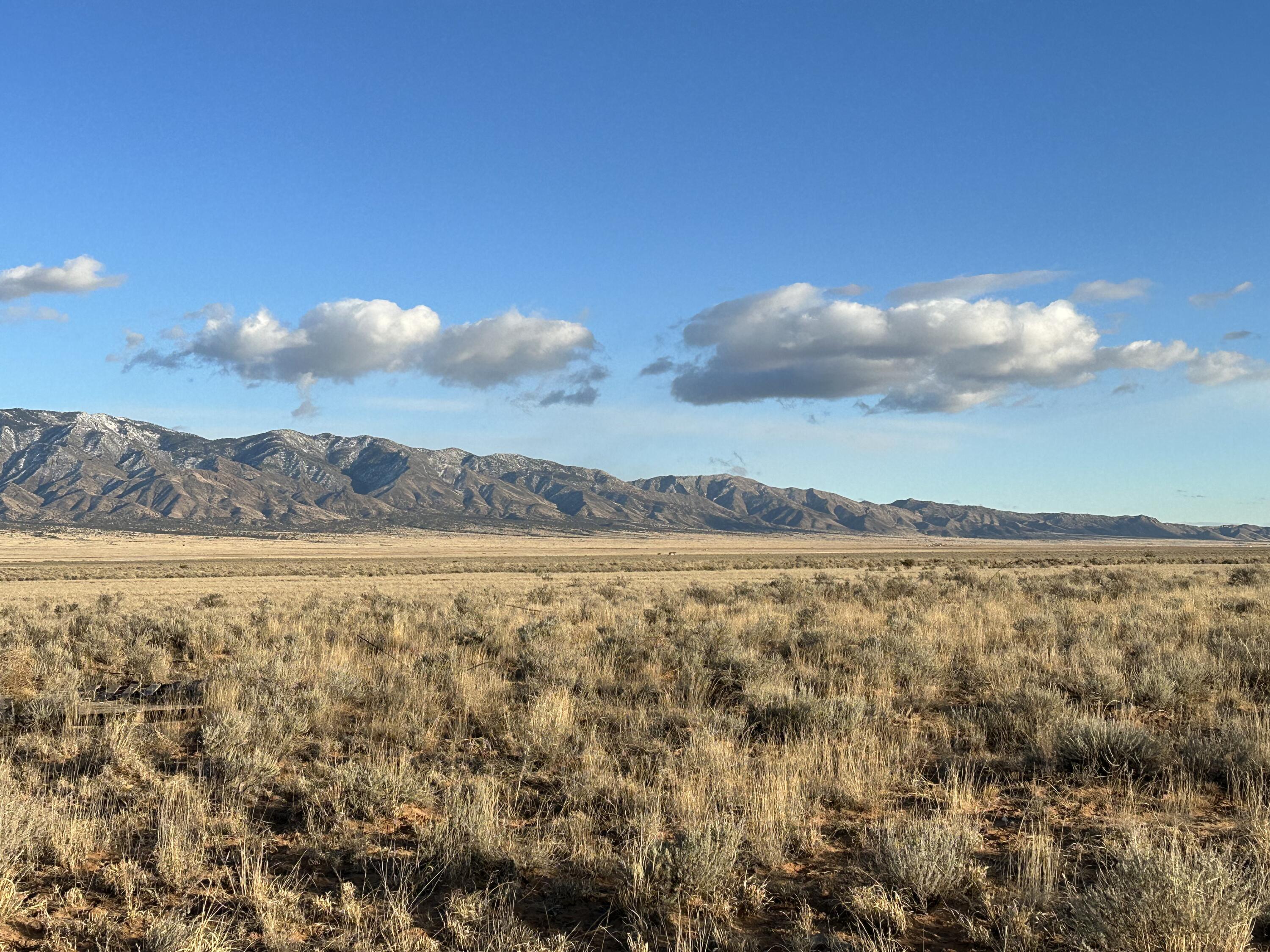 Photo 4 of 10 of Rio Grande Estates land