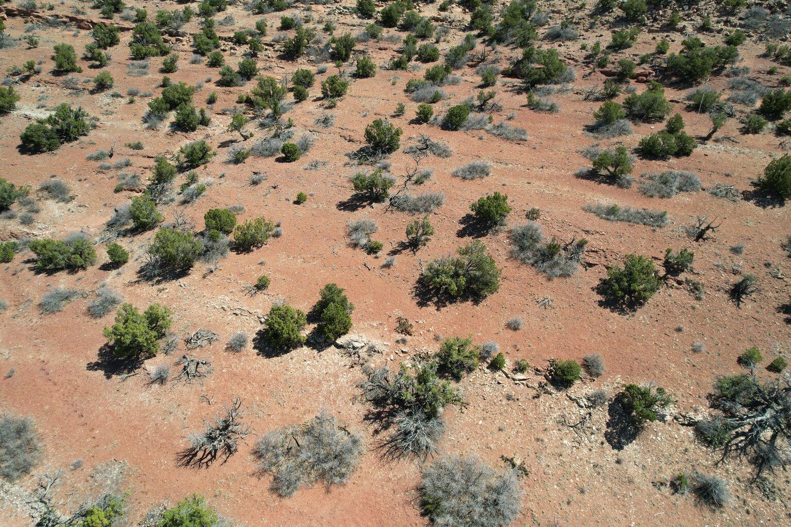 302 Moonlight Rdg Road, Placitas, New Mexico image 3