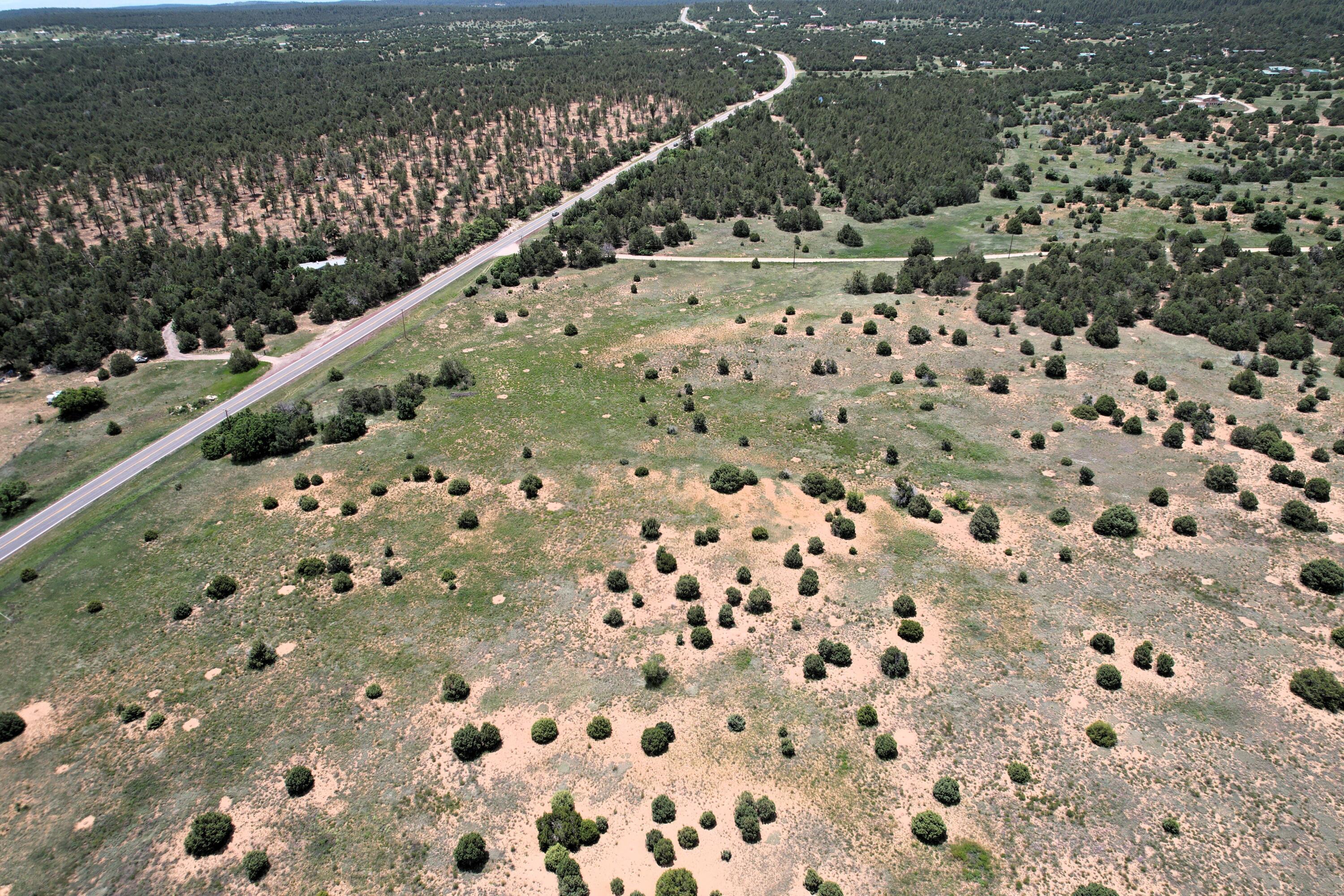 10601 Nm 337, Tijeras, New Mexico image 10