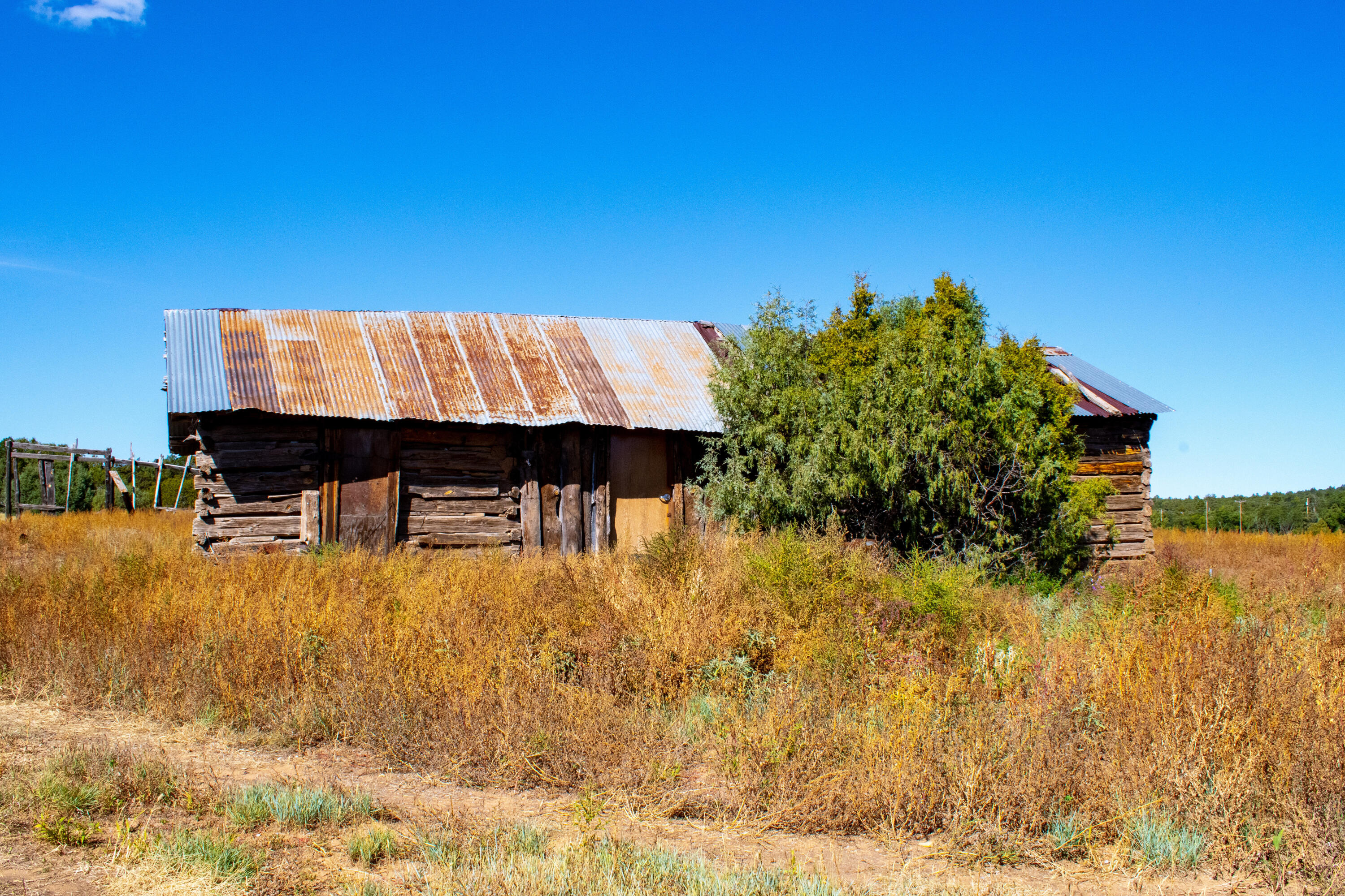 10601 Nm 337, Tijeras, New Mexico image 5