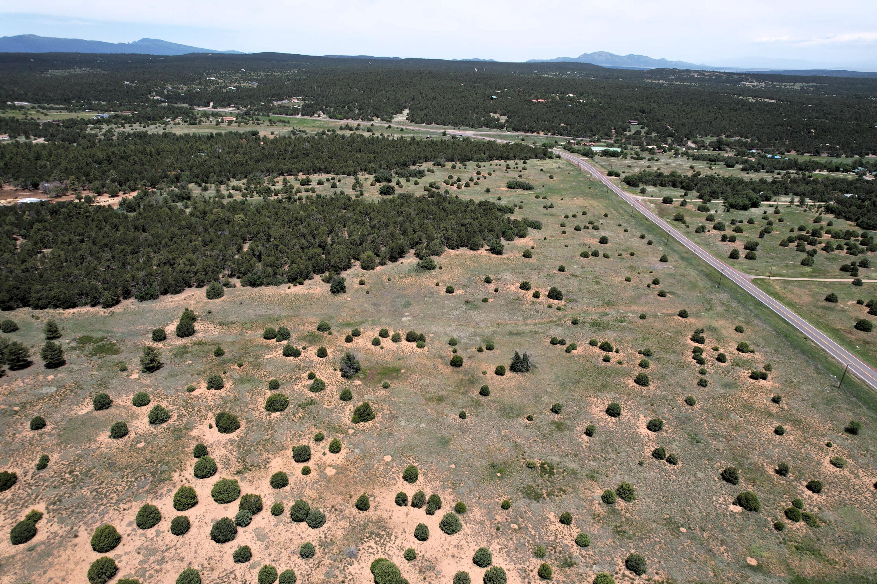 10601 Nm 337, Tijeras, New Mexico image 11