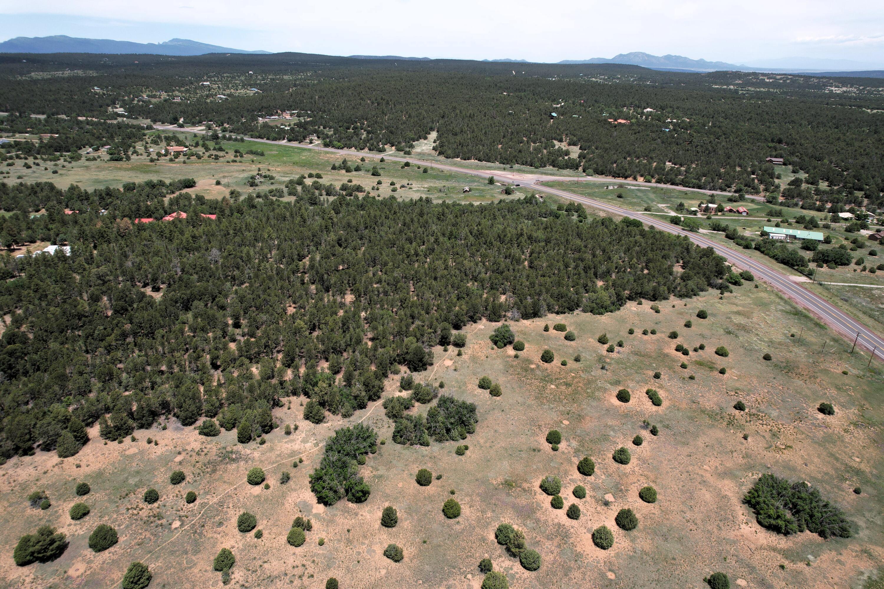 10601 Nm 337, Tijeras, New Mexico image 12