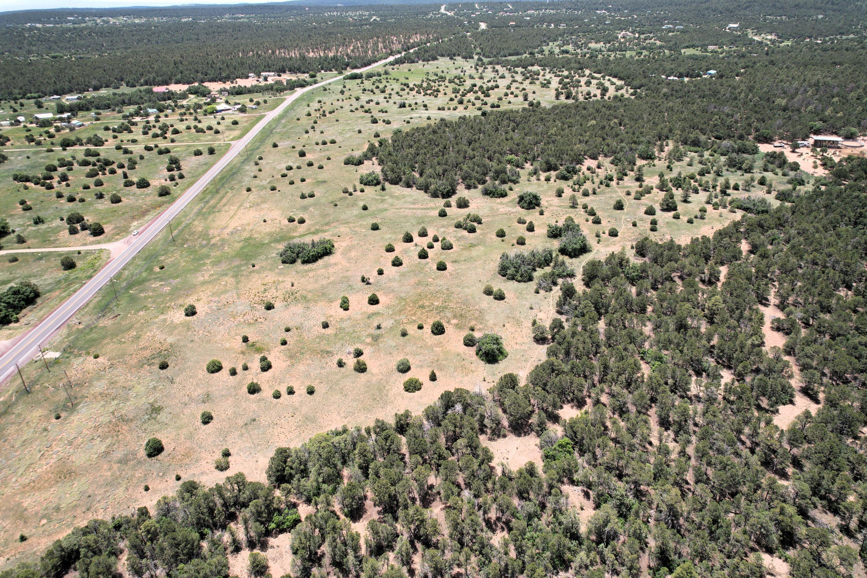 10601 Nm 337, Tijeras, New Mexico image 9