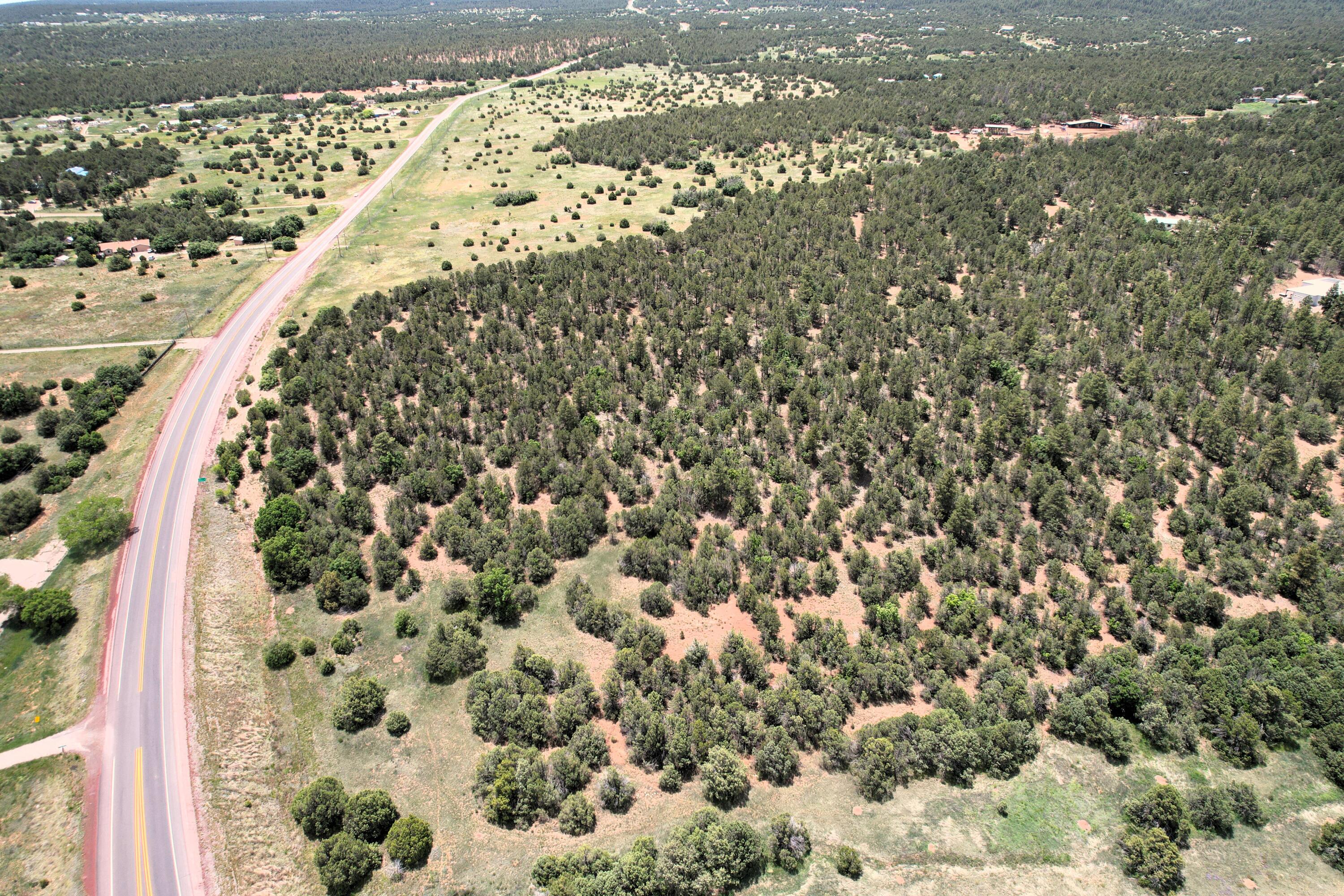 10601 Nm 337, Tijeras, New Mexico image 2