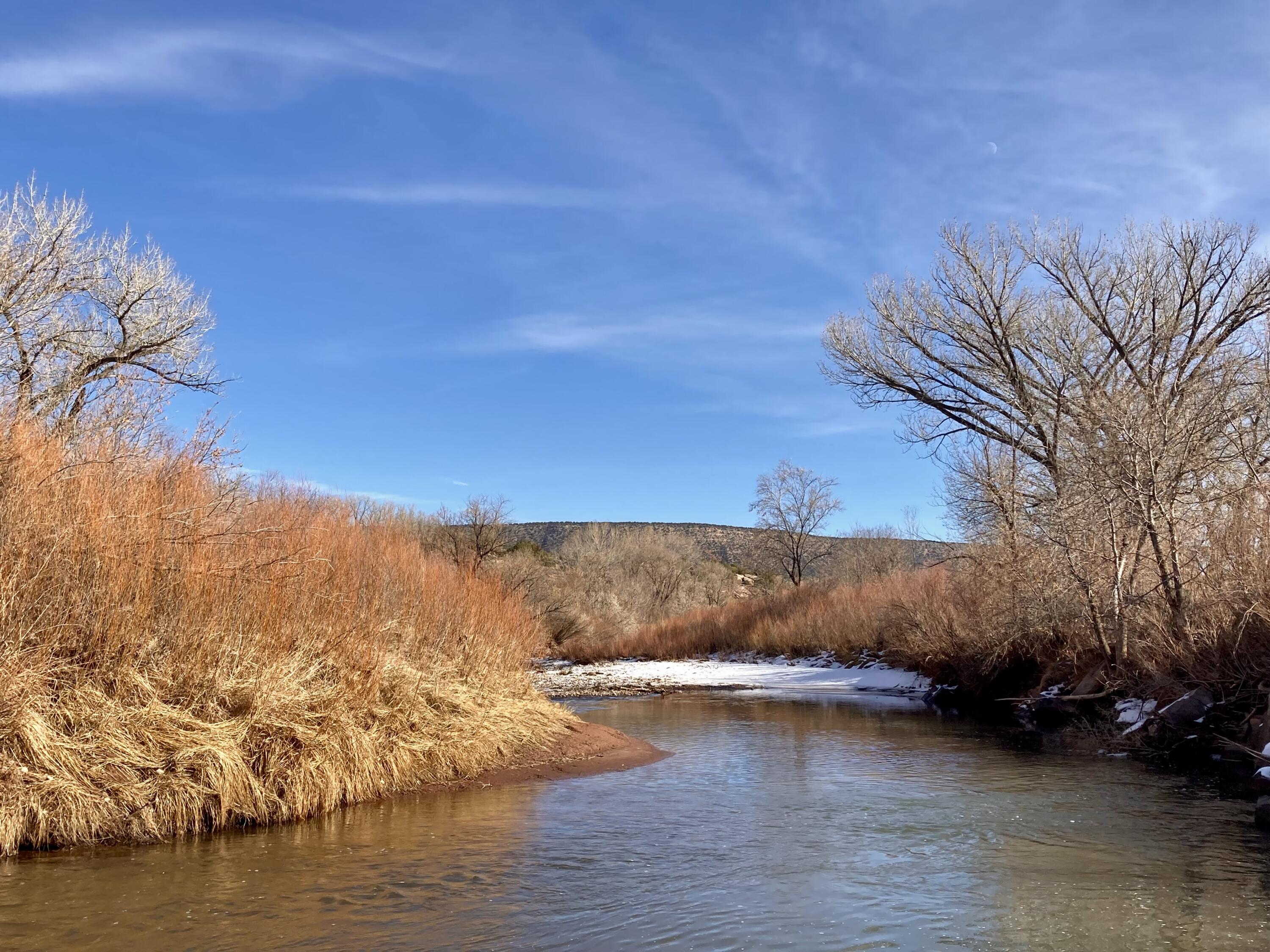 317 Nm-3, Ribera, New Mexico image 6