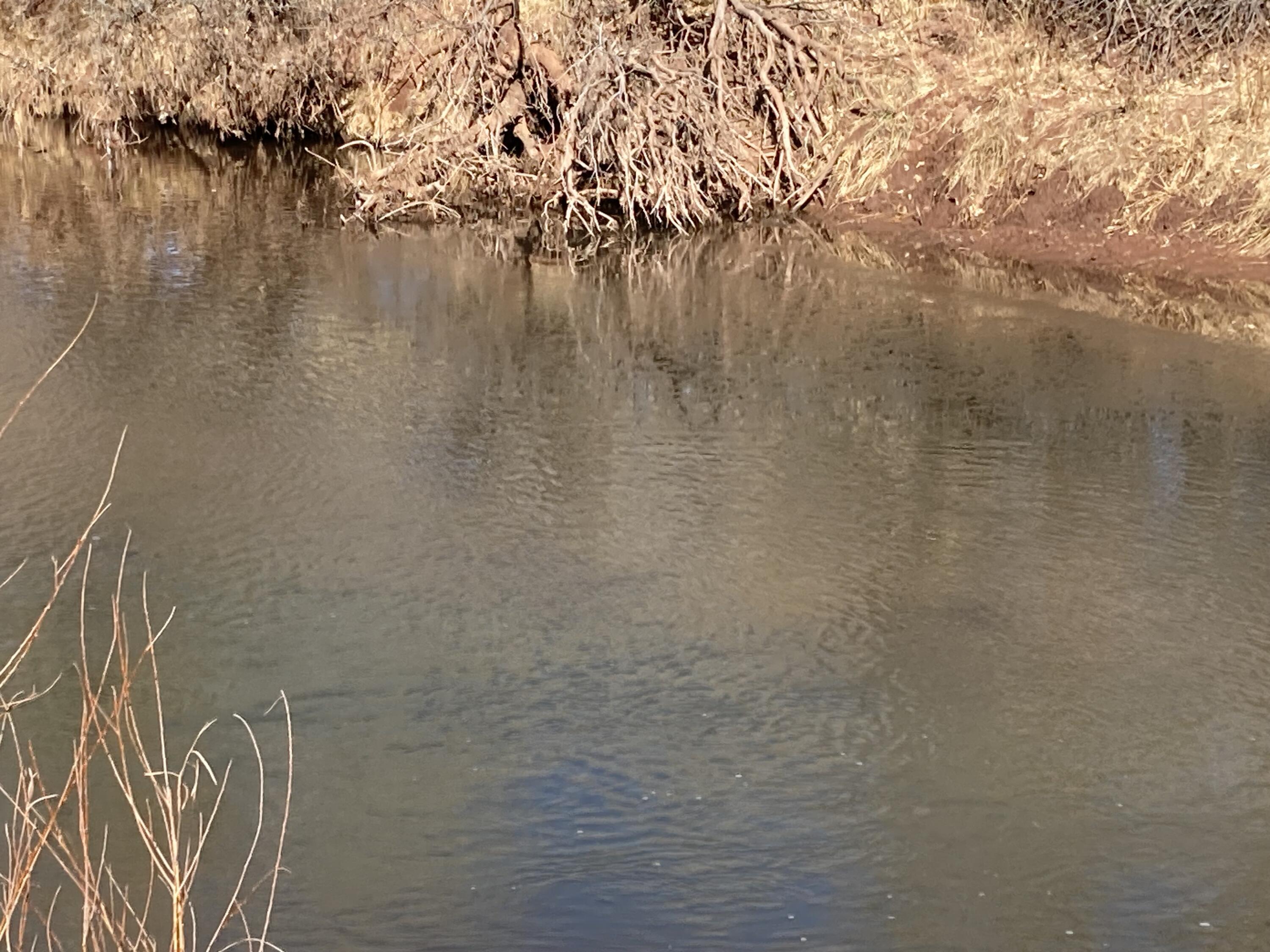 317 Nm-3, Ribera, New Mexico image 44