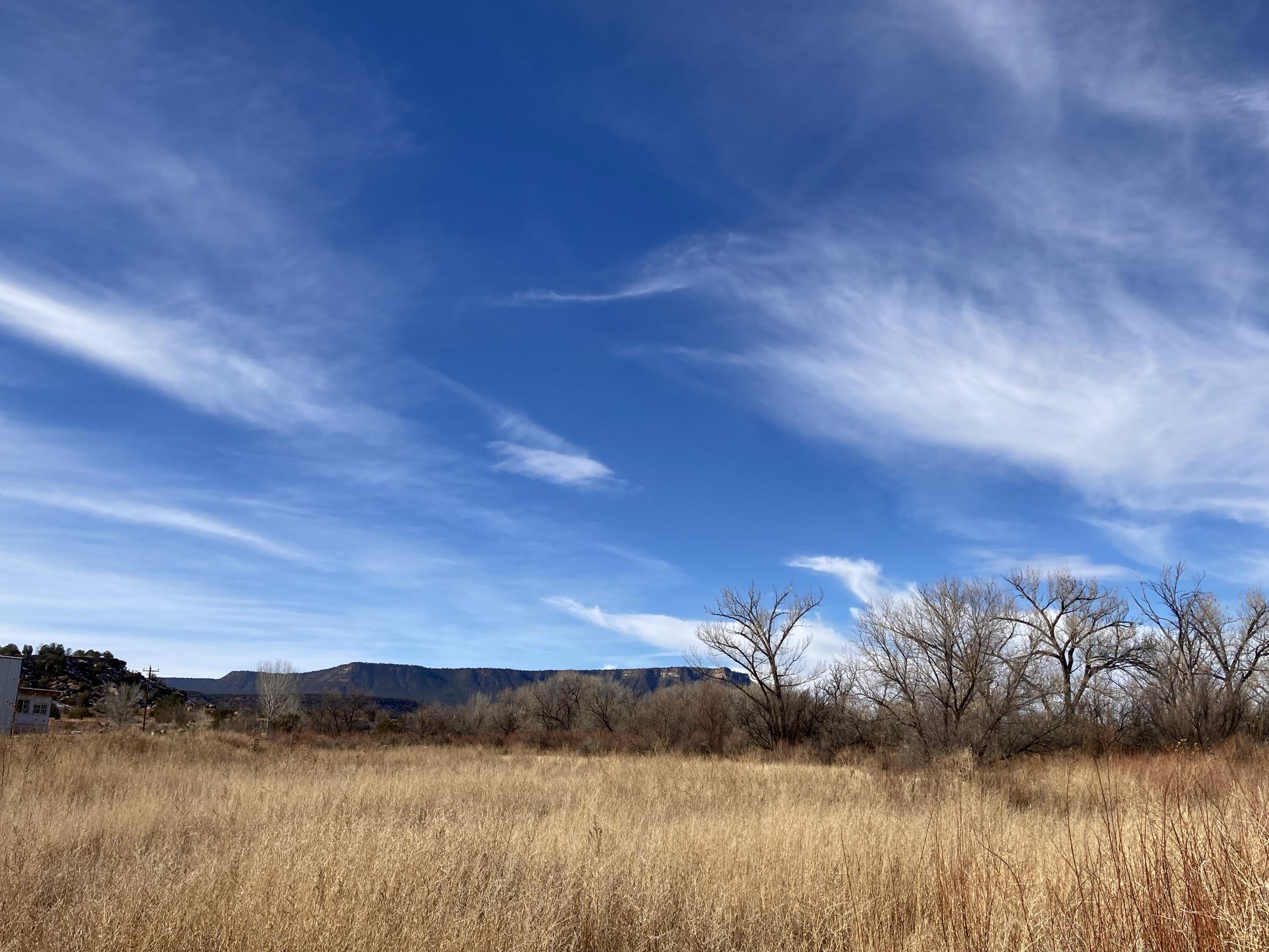 317 Nm-3, Ribera, New Mexico image 46