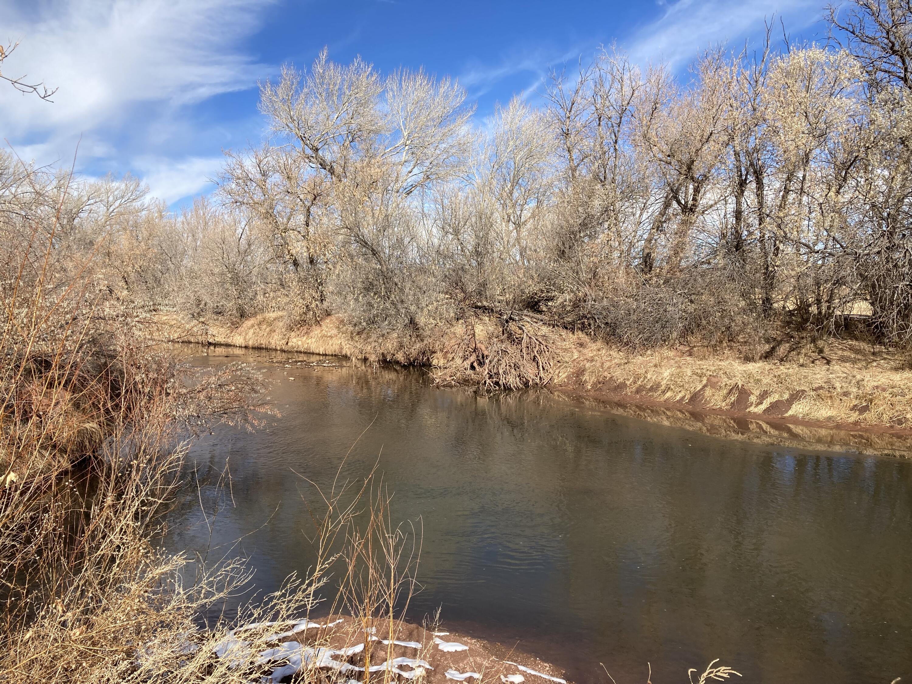 317 Nm-3, Ribera, New Mexico image 43