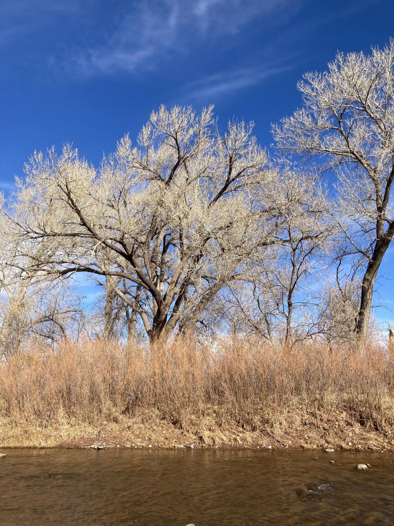 317 Nm-3, Ribera, New Mexico image 49