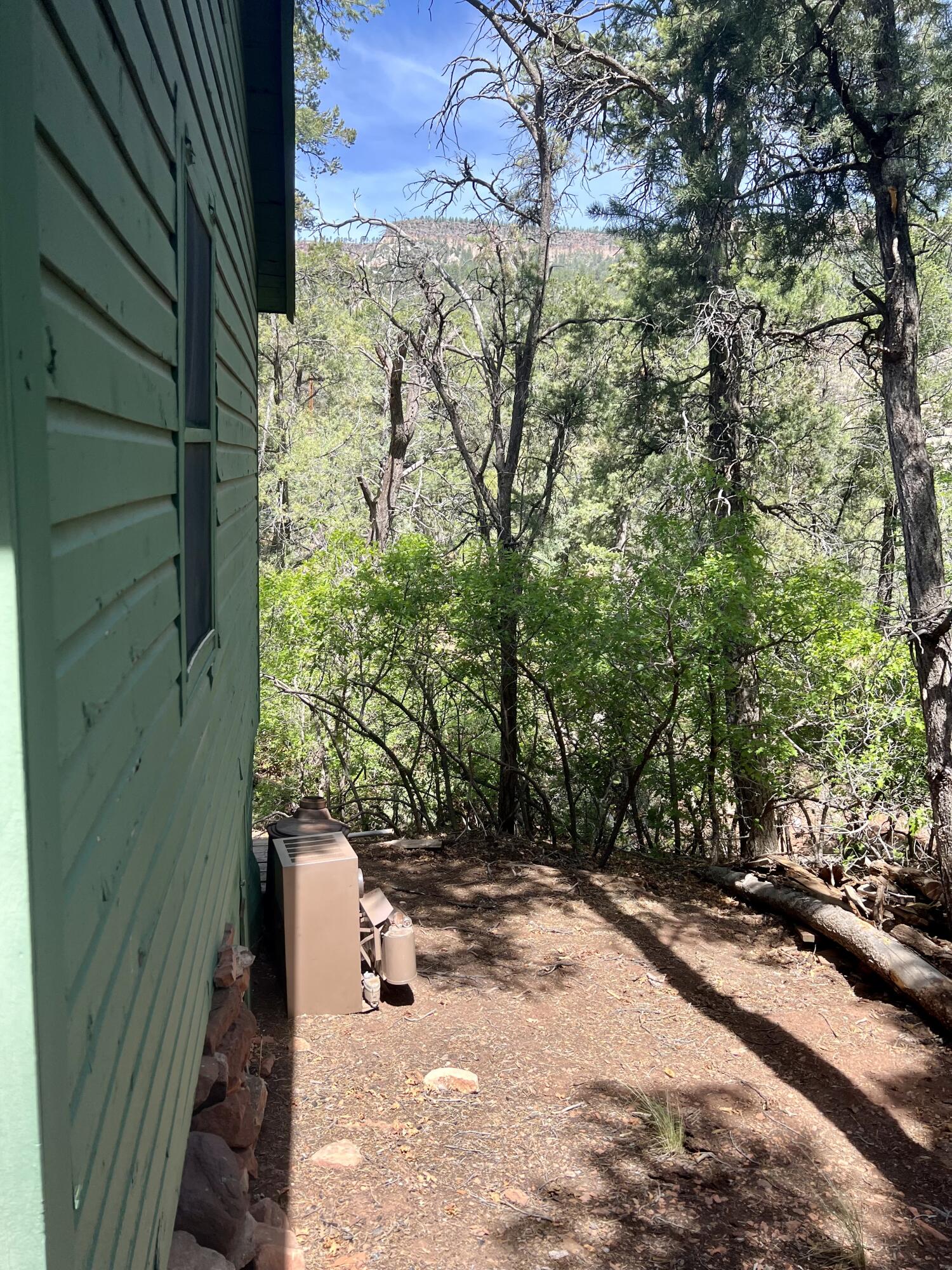 994 San Diego Loop, Jemez Springs, New Mexico image 5